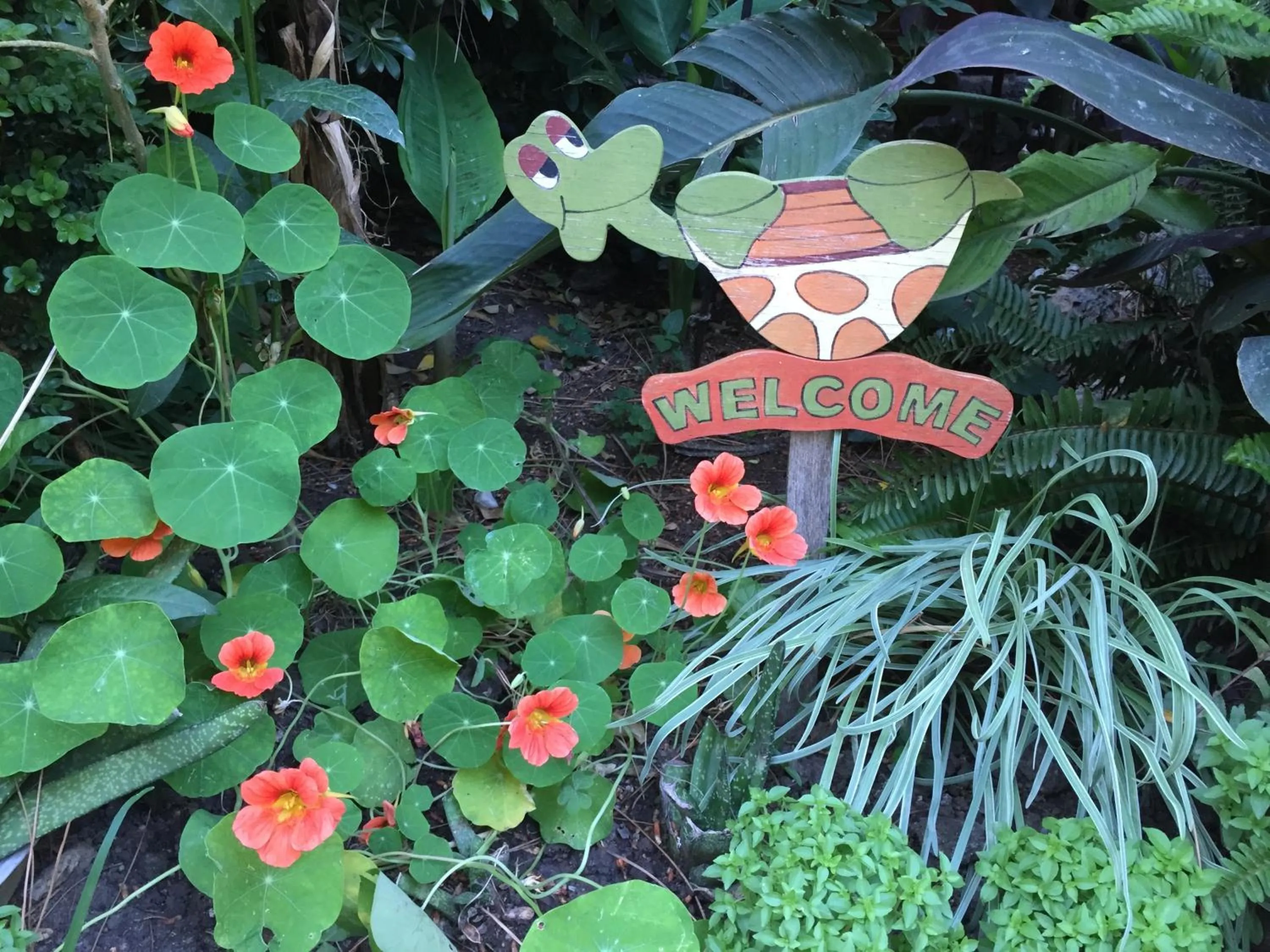 Decorative detail in Hotel Happy Caretta