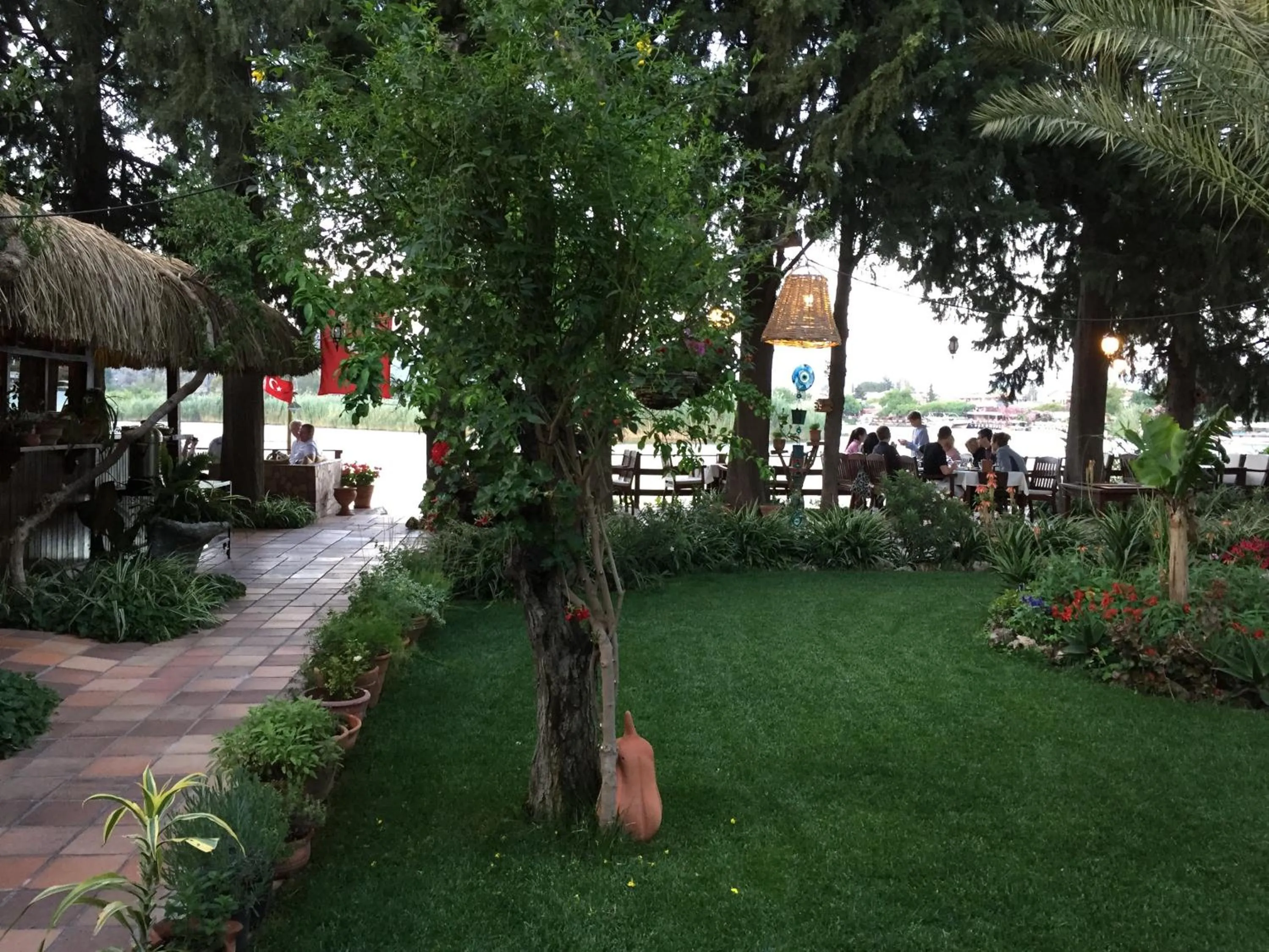 Garden in Hotel Happy Caretta