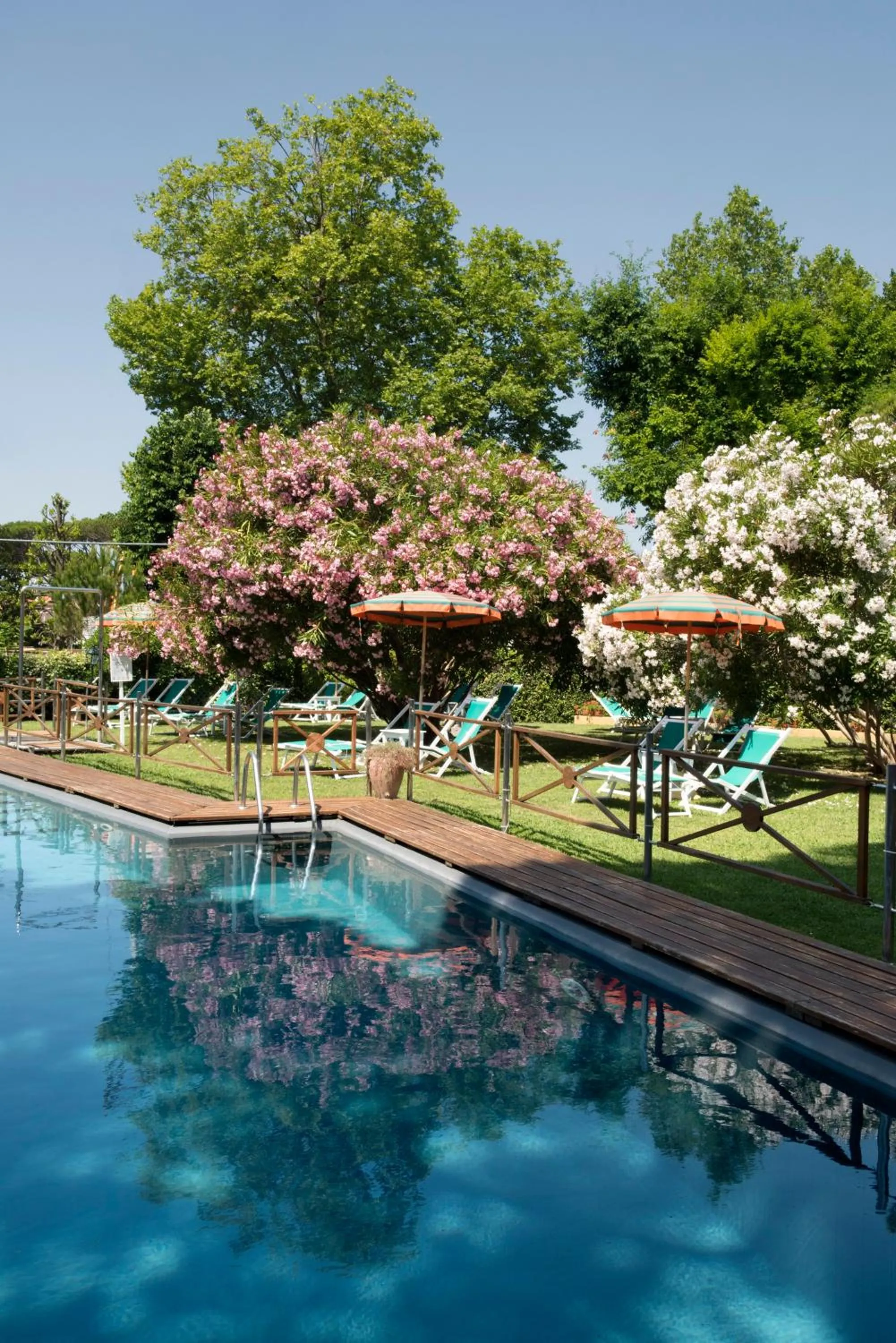 Swimming pool in Hotel Hermitage