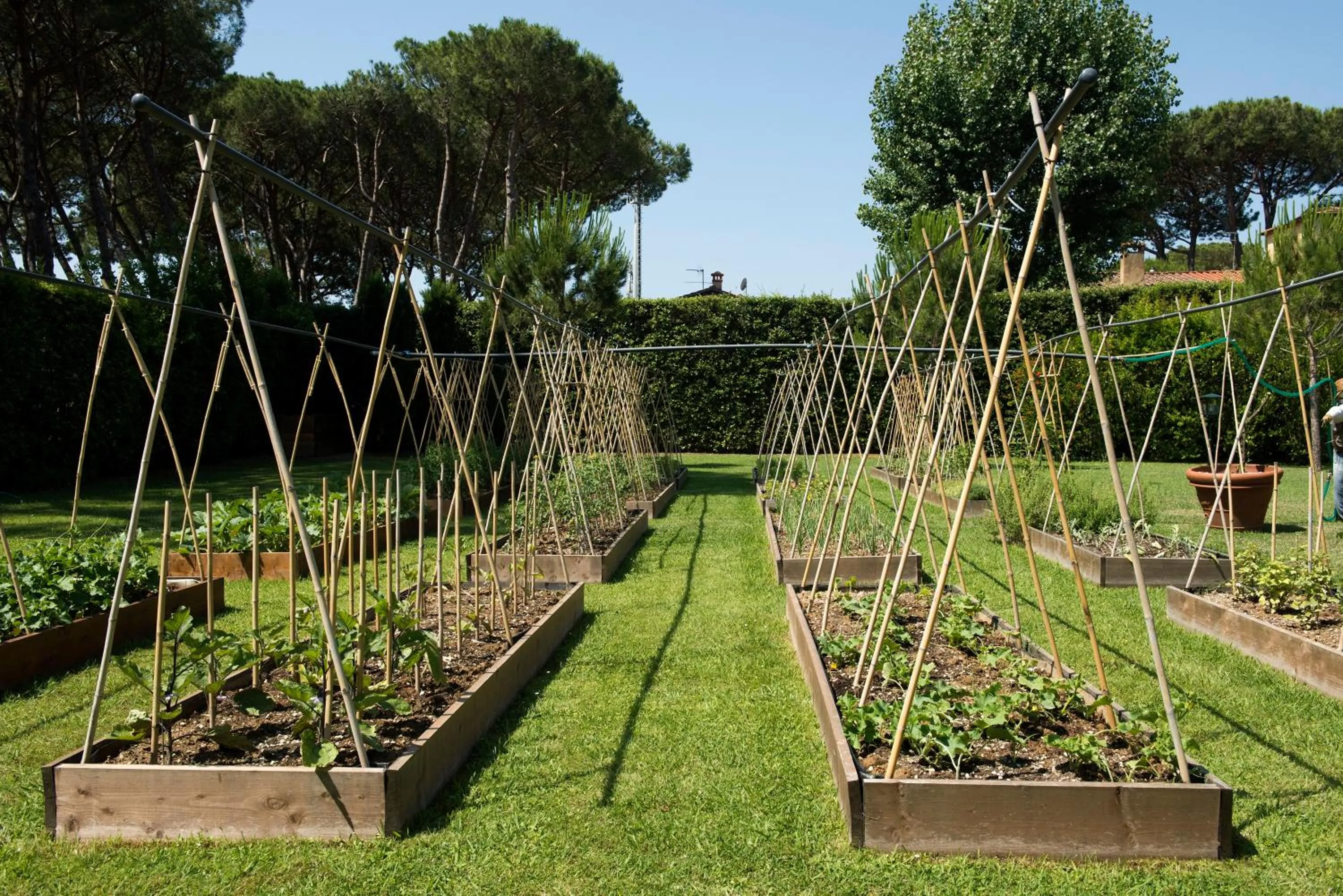 Activities in Hotel Hermitage