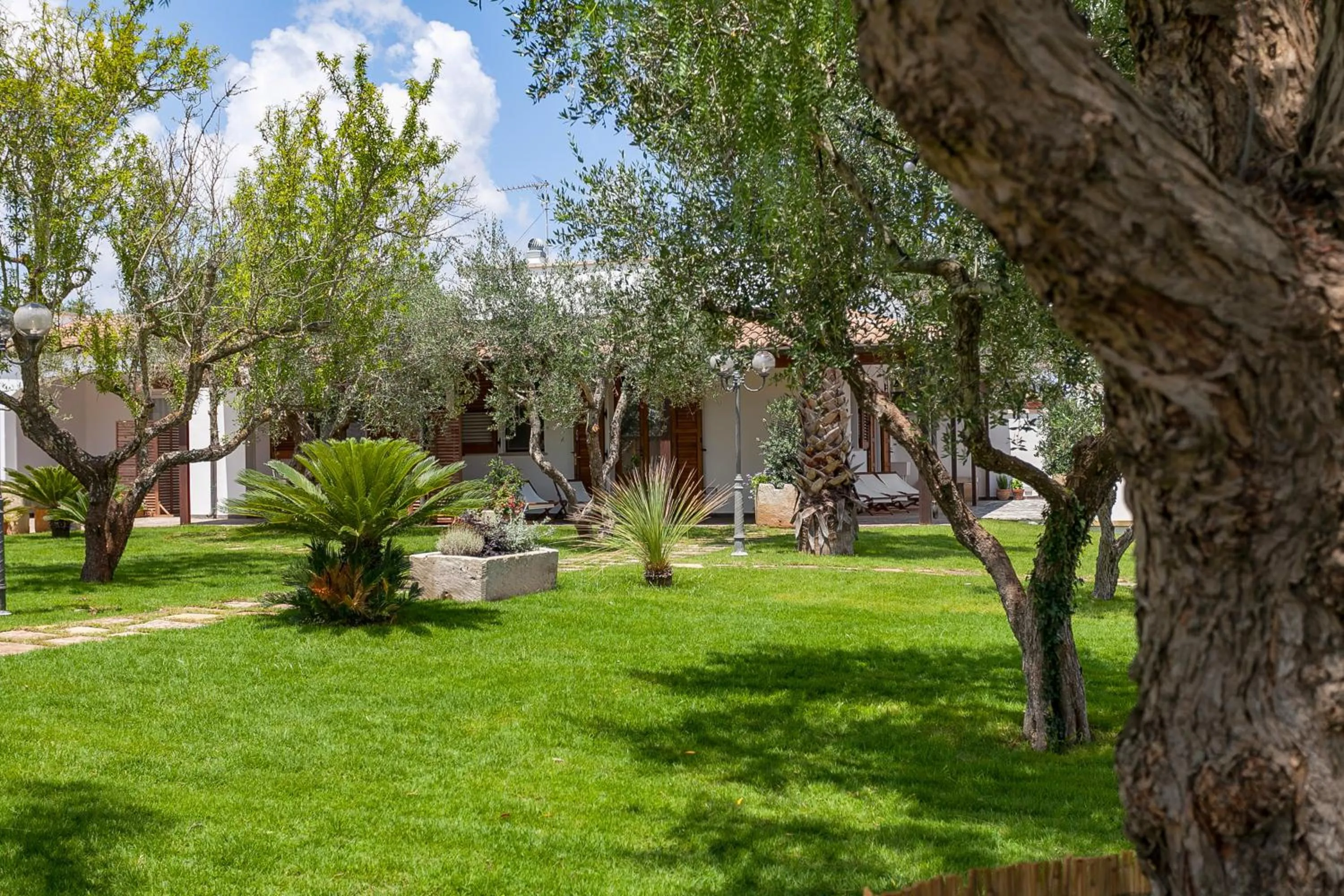 Garden in Il Giardino di Jo