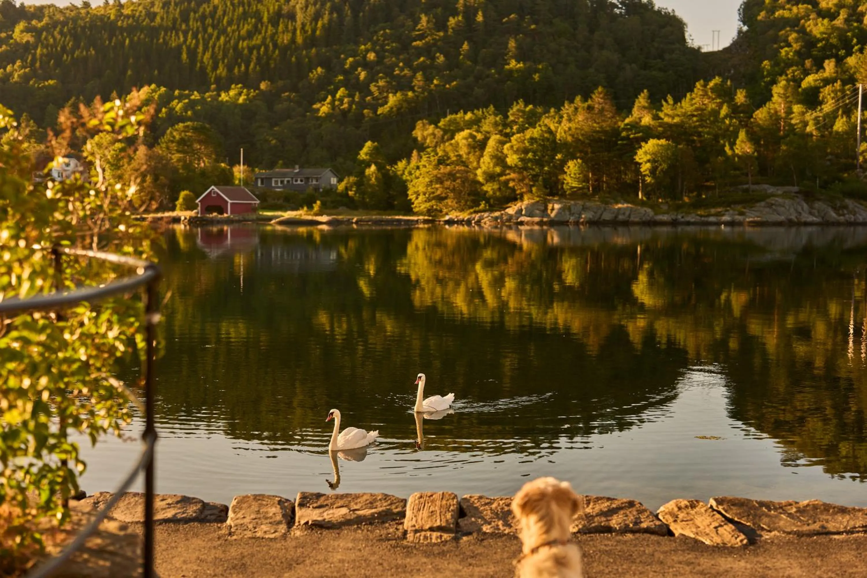 Sea view in Farsund Resort