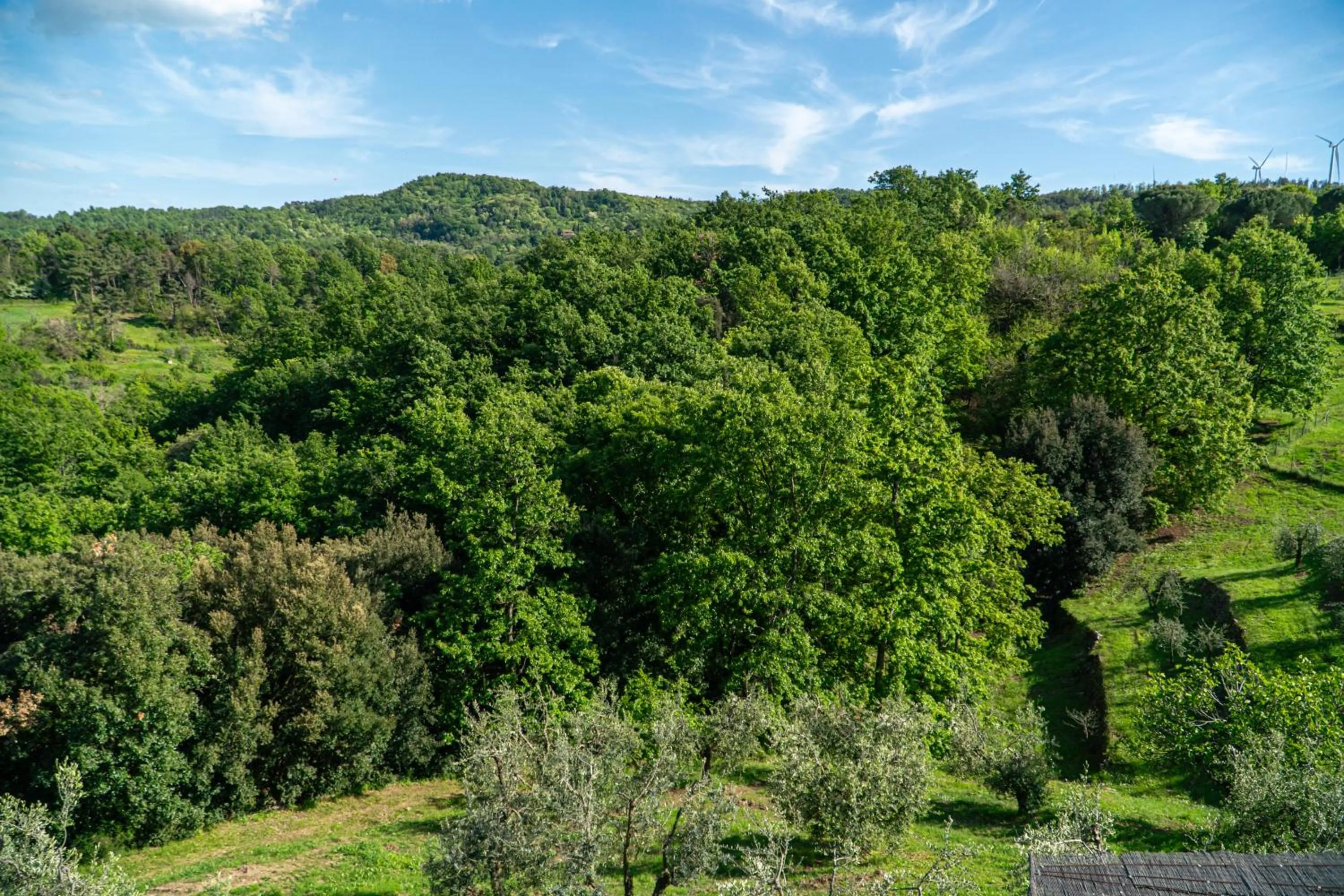 Natural landscape in Piccozzo agritour