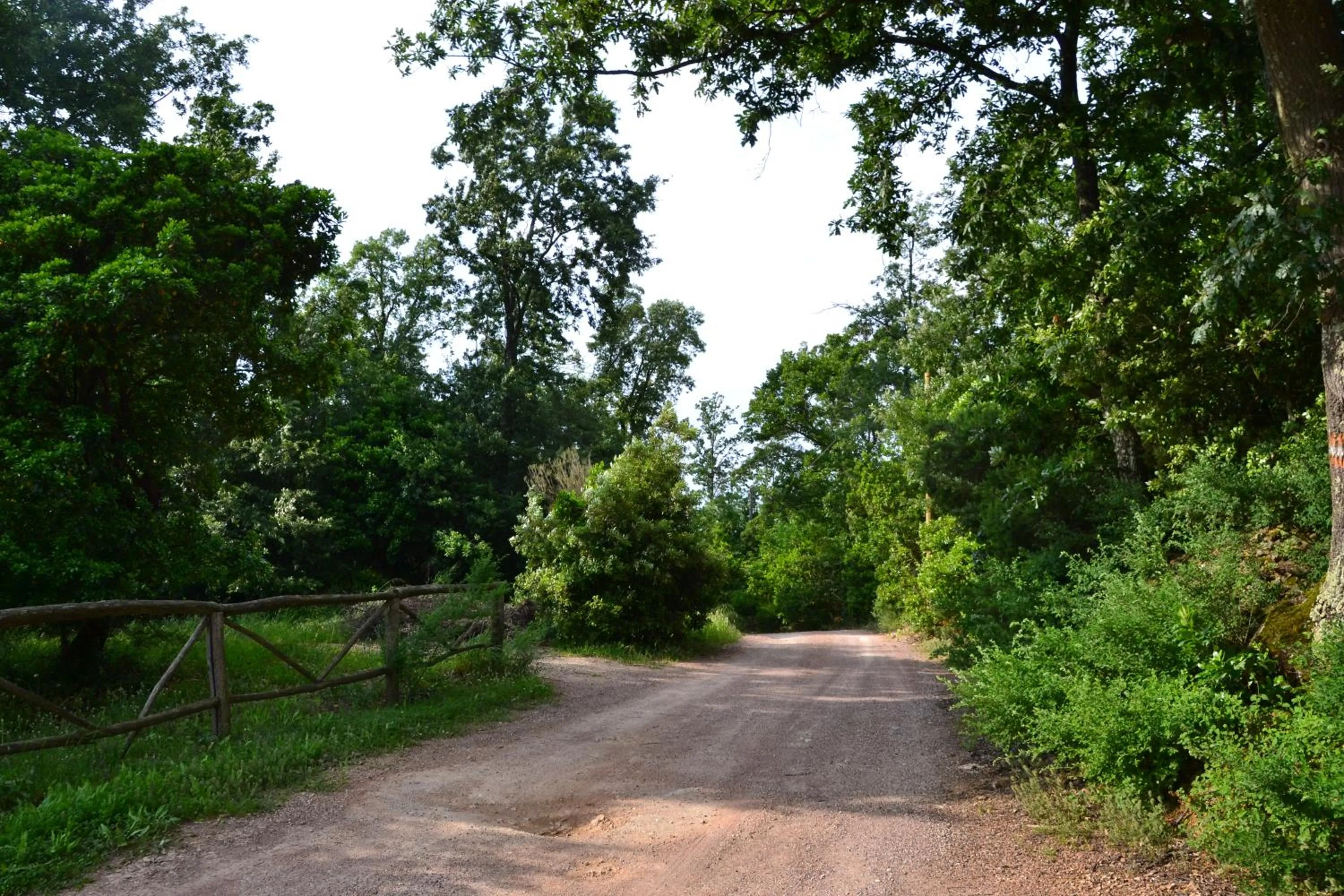 Street view in Piccozzo agritour