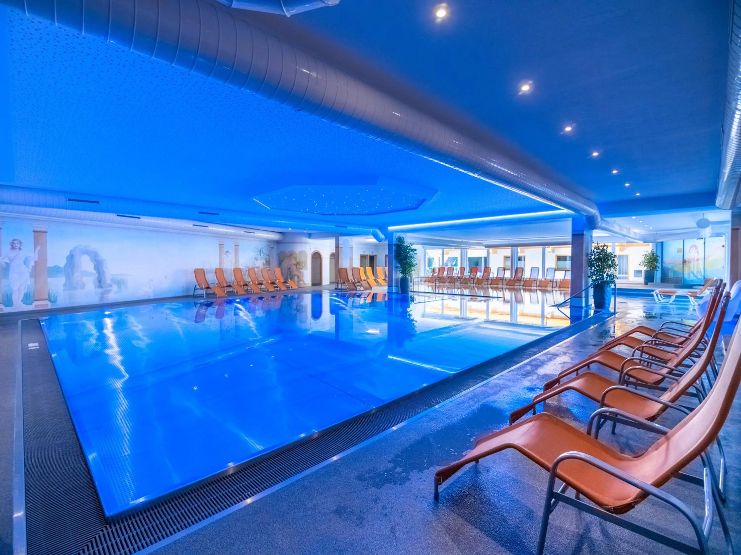 Swimming pool in Alpenhof