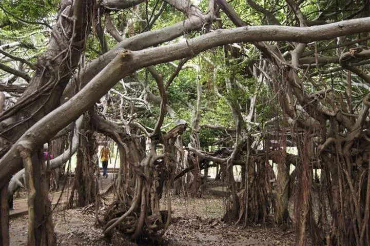 Nearby landmark in Baan Lita