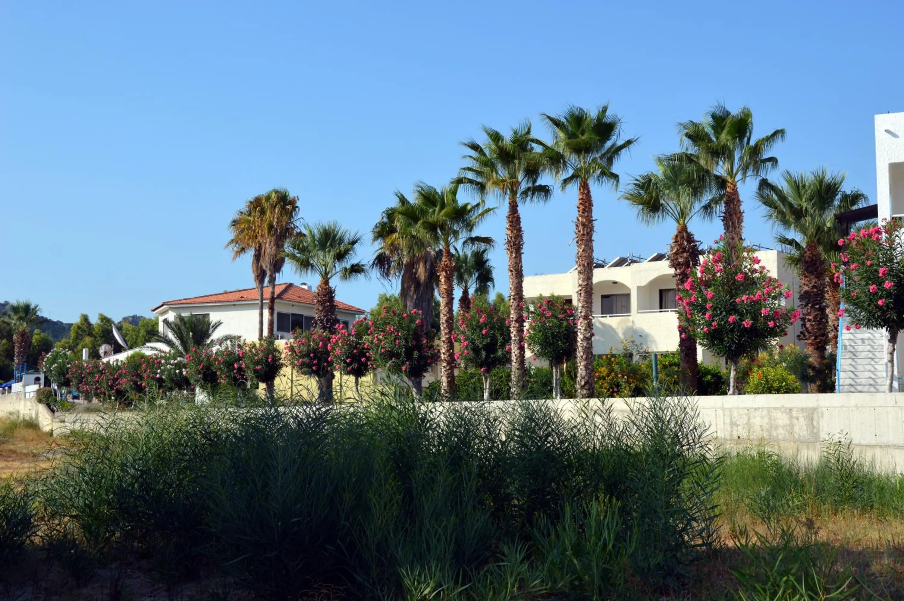 Property building in Muses Hotel