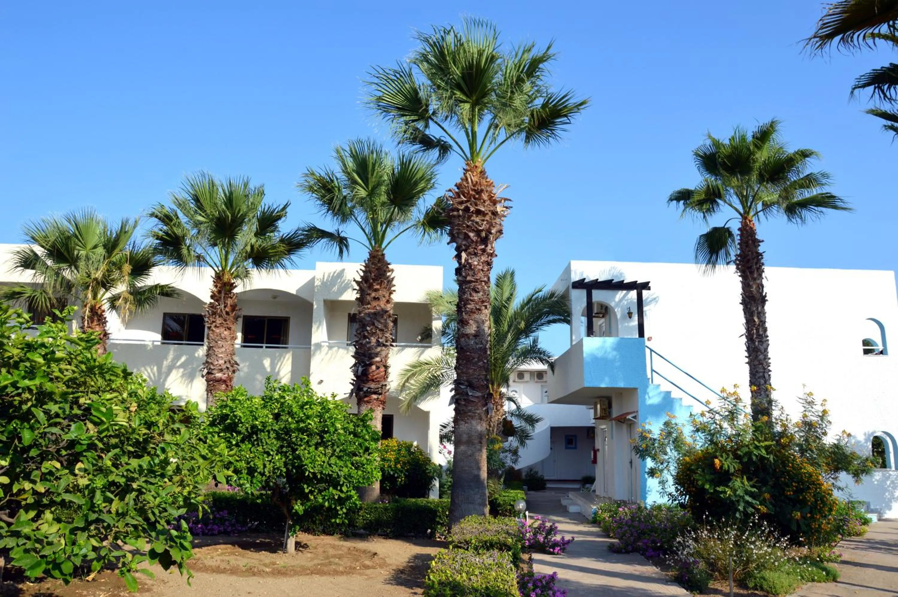 View (from property/room) in Muses Hotel