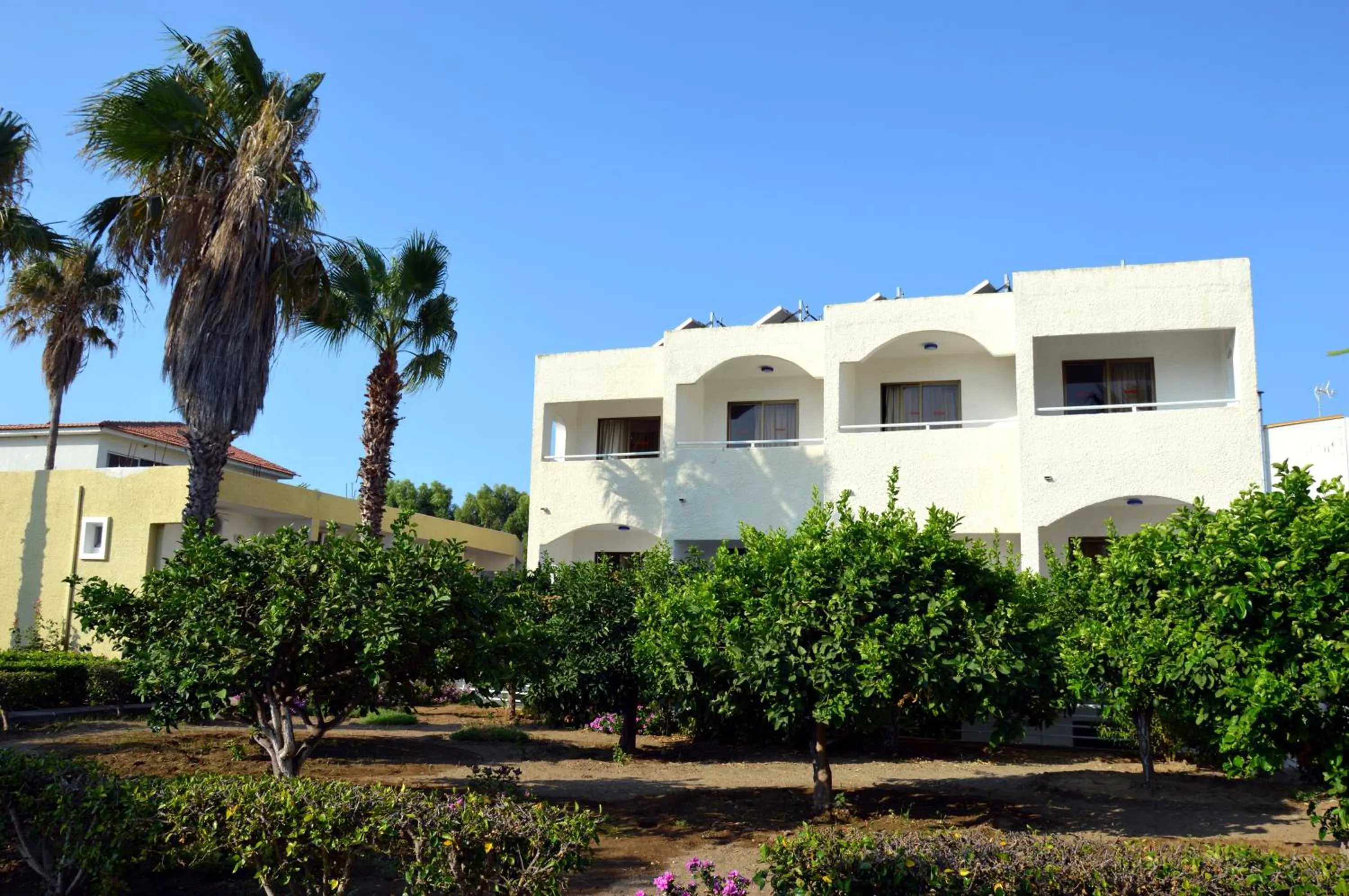 View (from property/room) in Muses Hotel