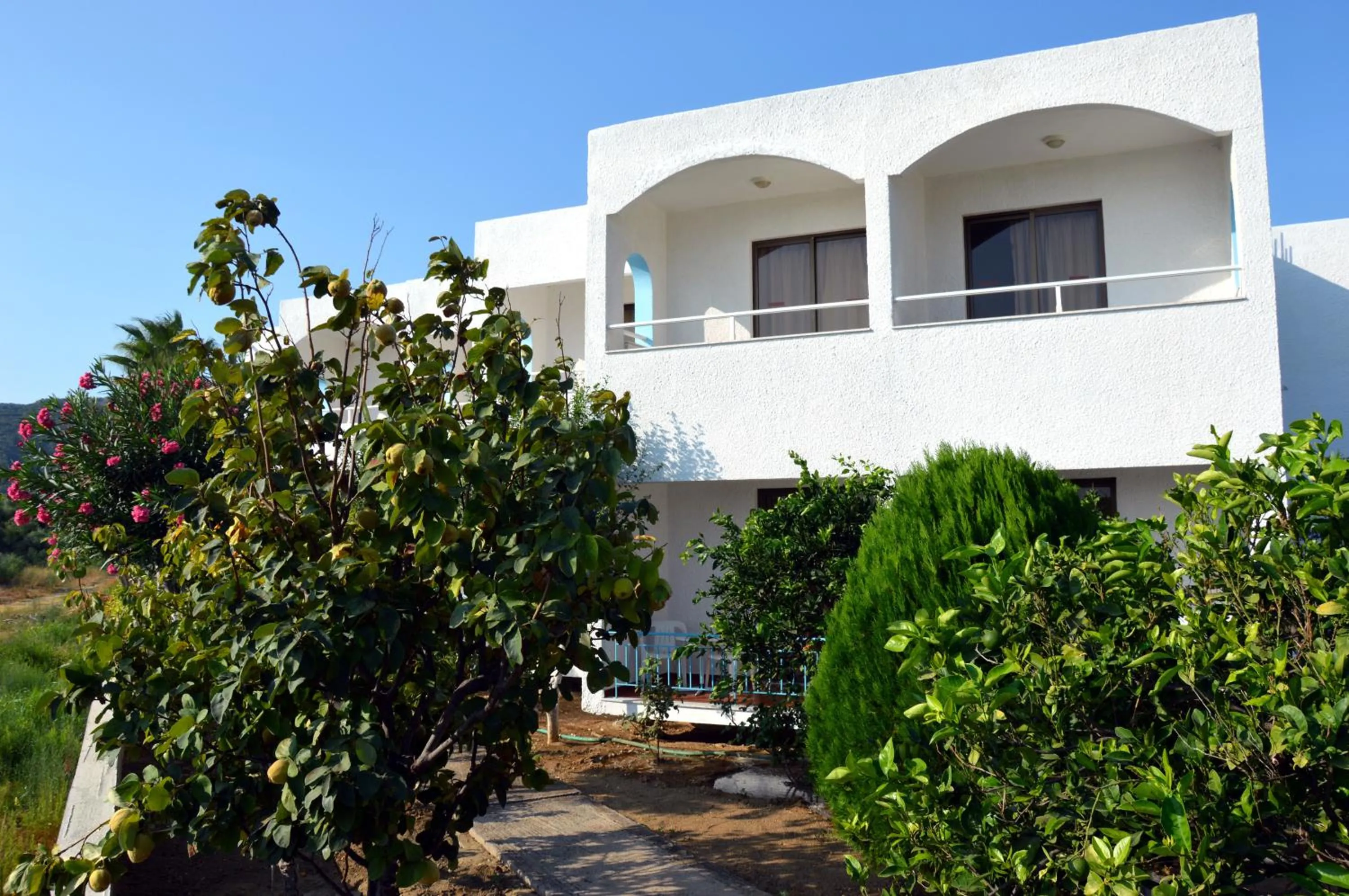 View (from property/room) in Muses Hotel