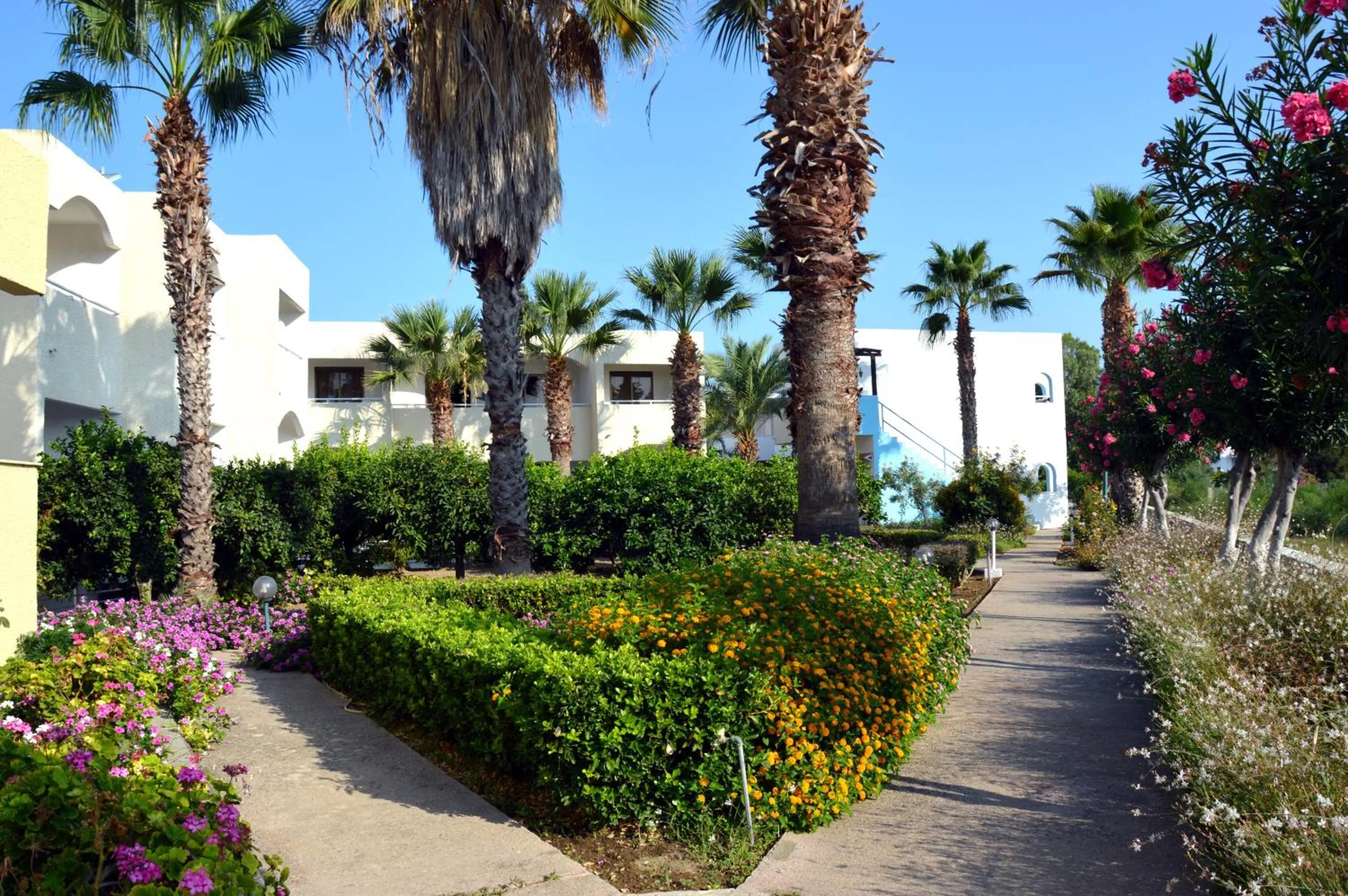 View (from property/room) in Muses Hotel