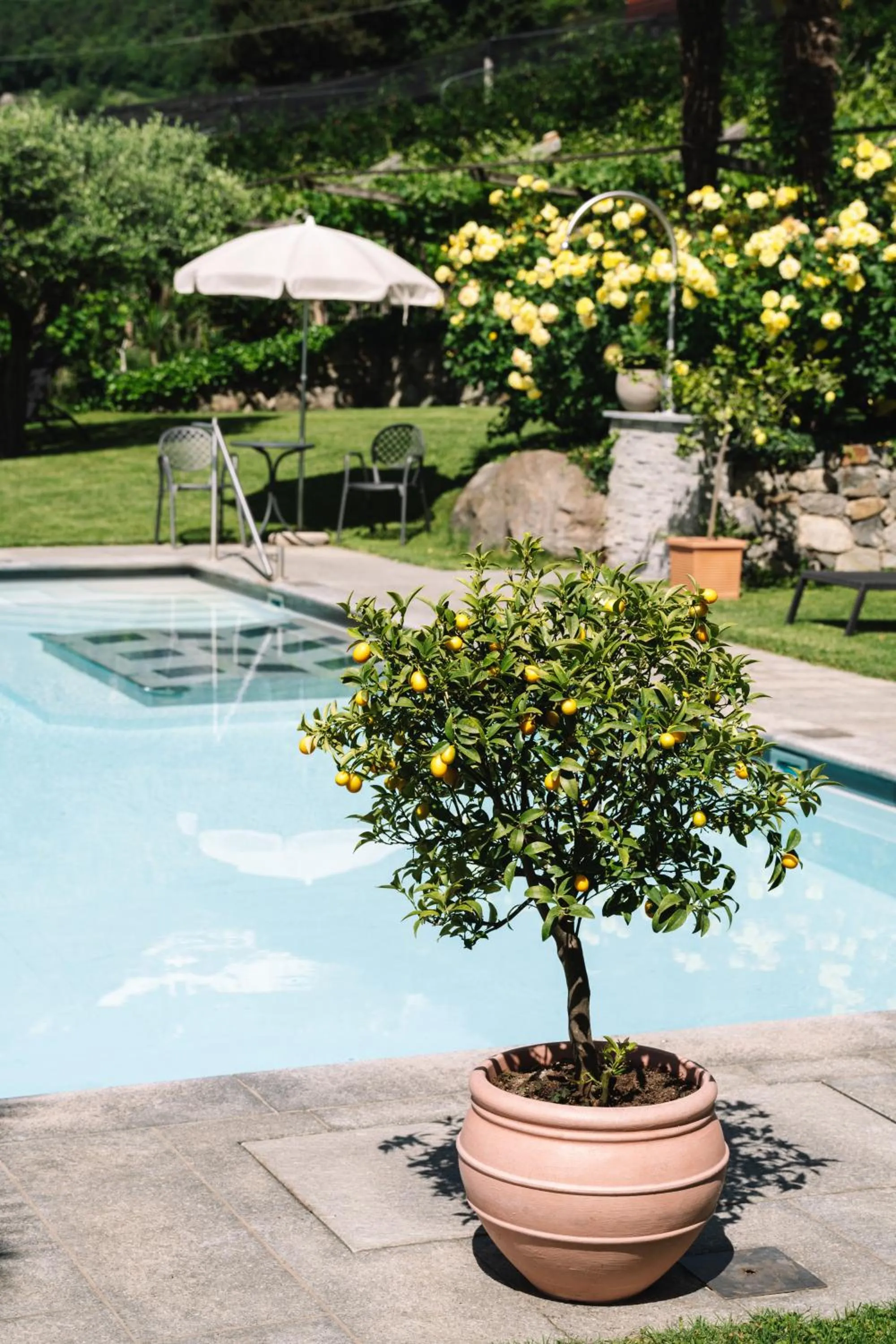 Garden in Alagundis Apartment Residence