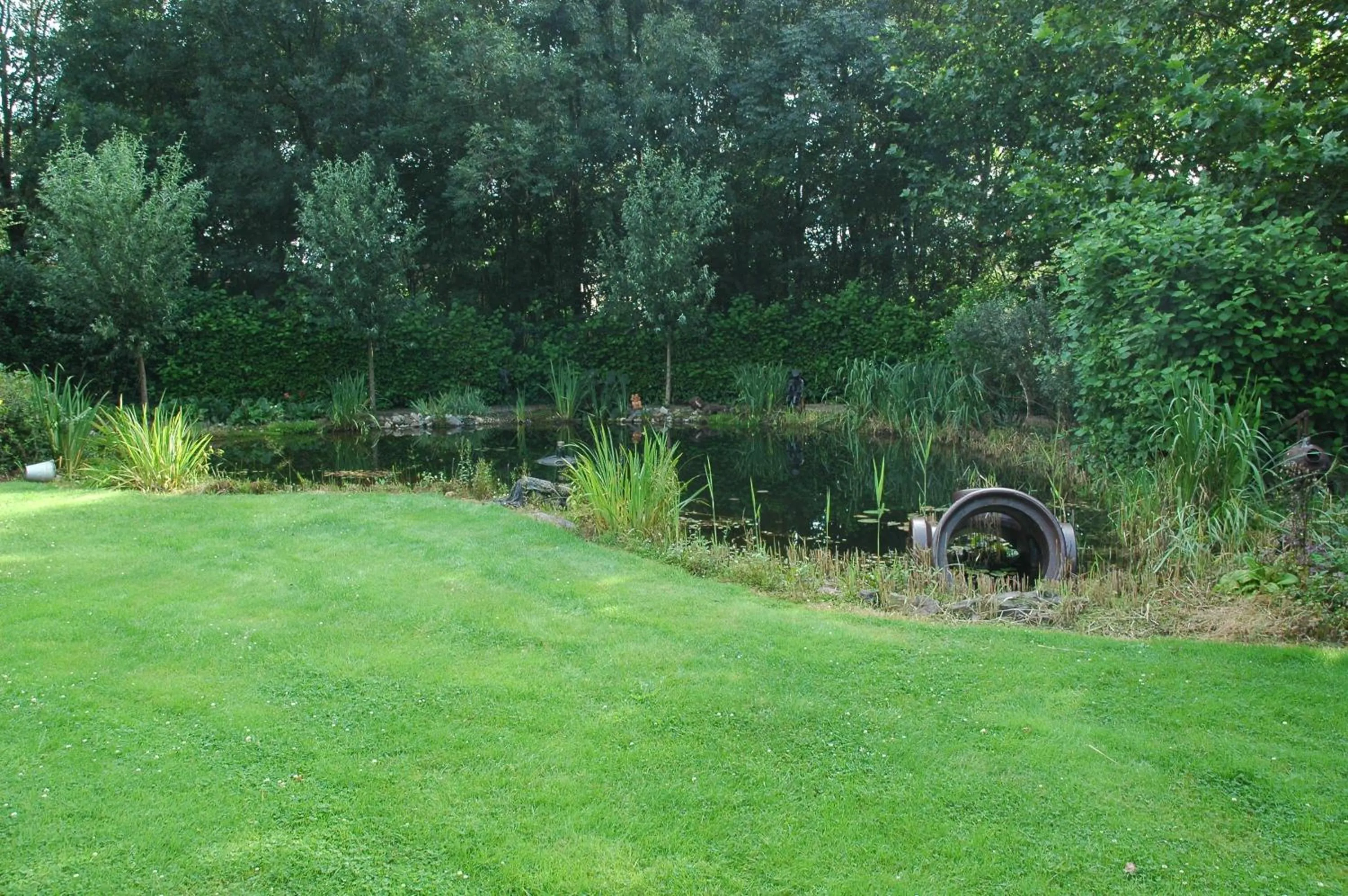 Garden in Hotel Lemmenhof