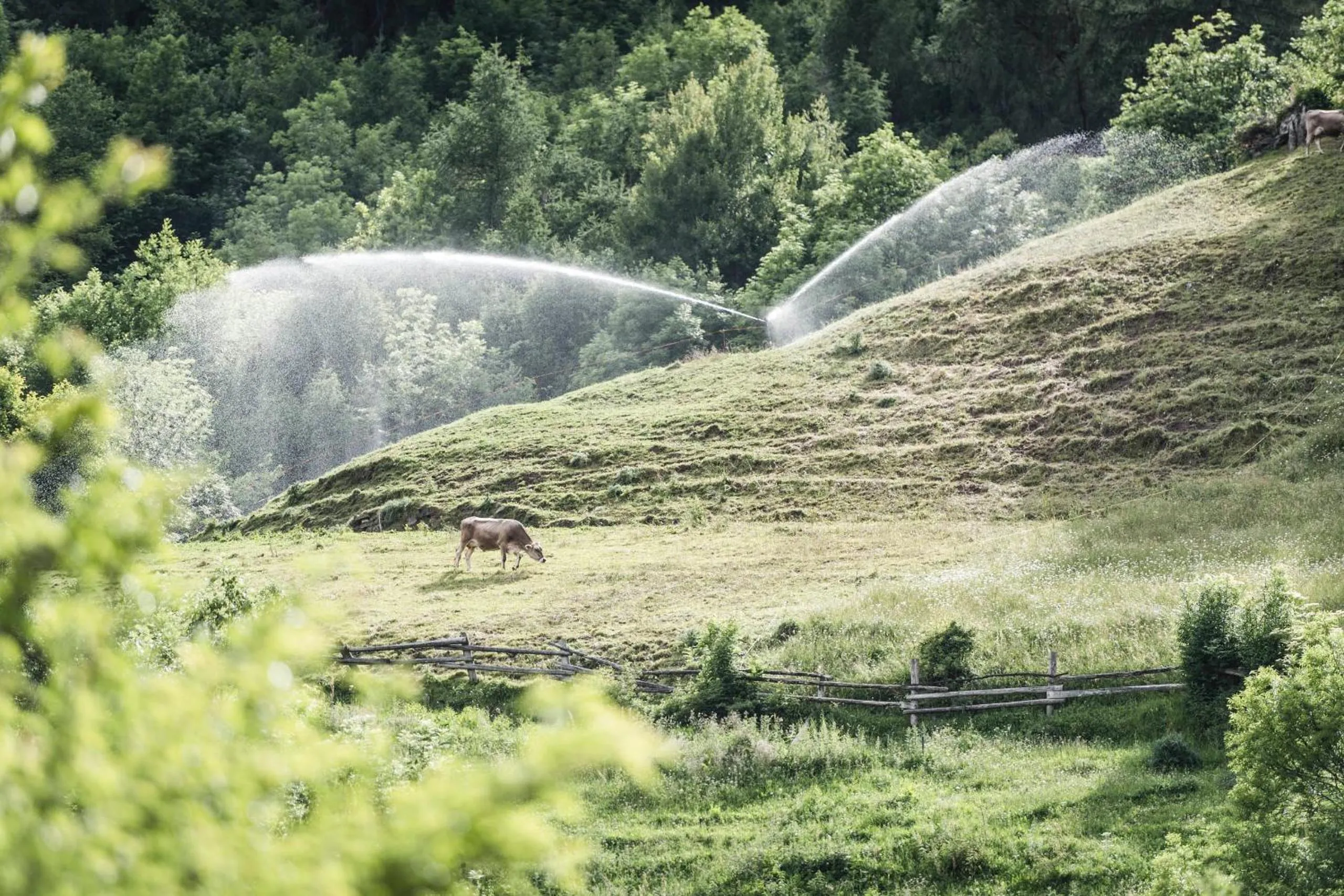 Natural landscape in Der Mohrenwirt ****