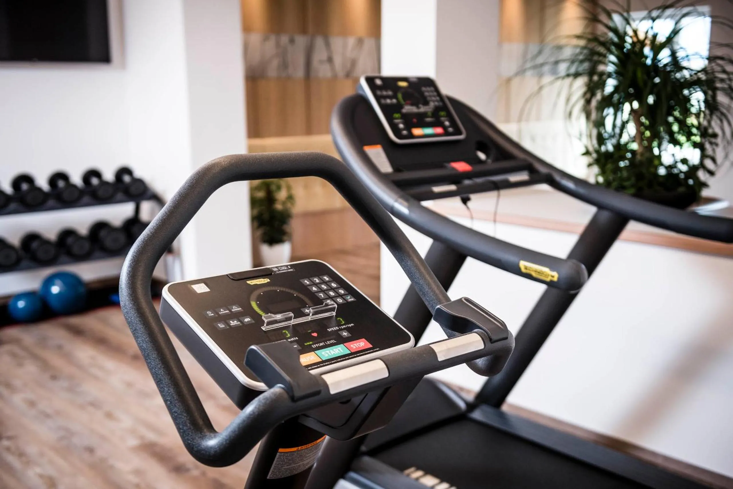 Fitness centre/facilities in Der Mohrenwirt ****