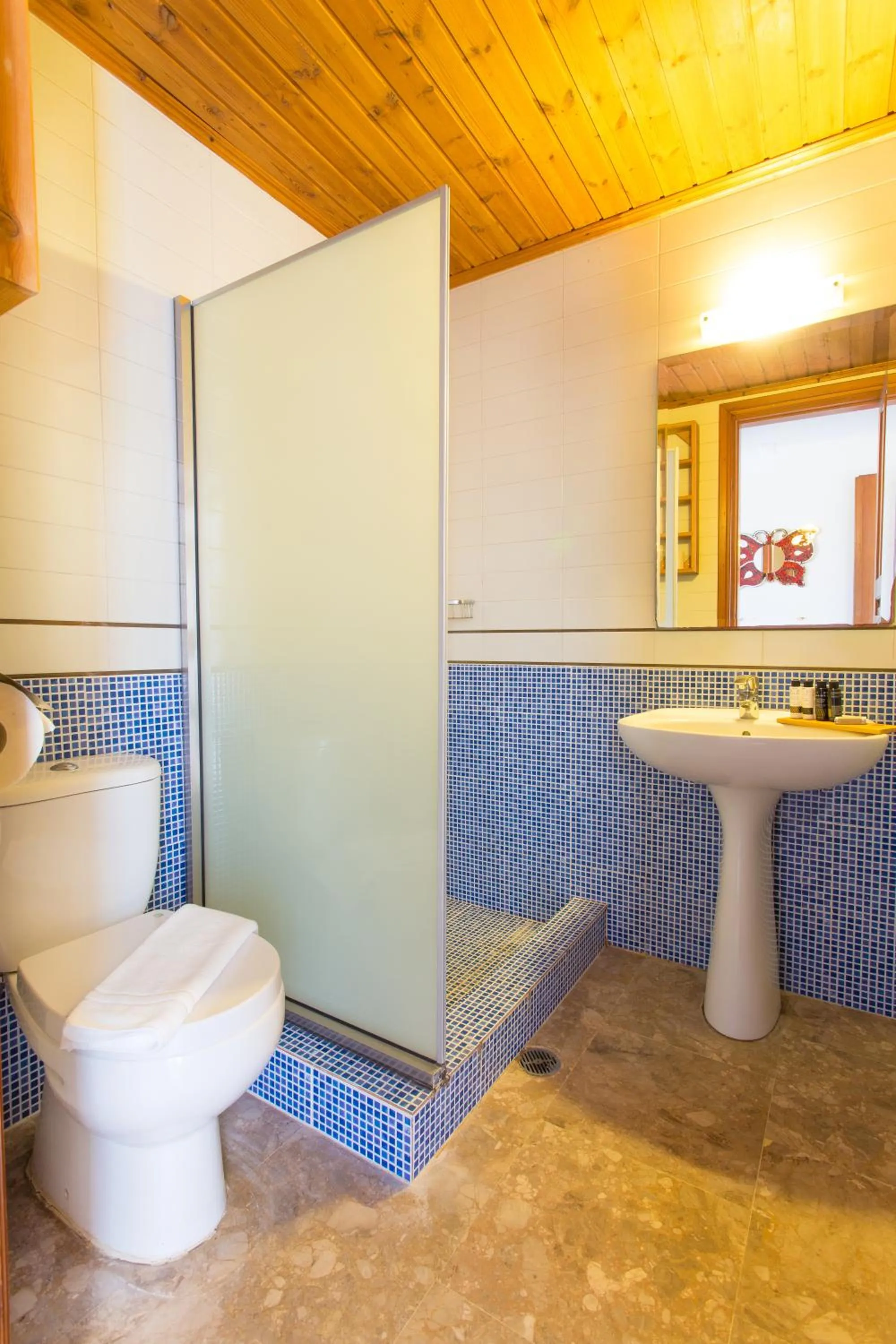 Shower in Thea Villas and Suite