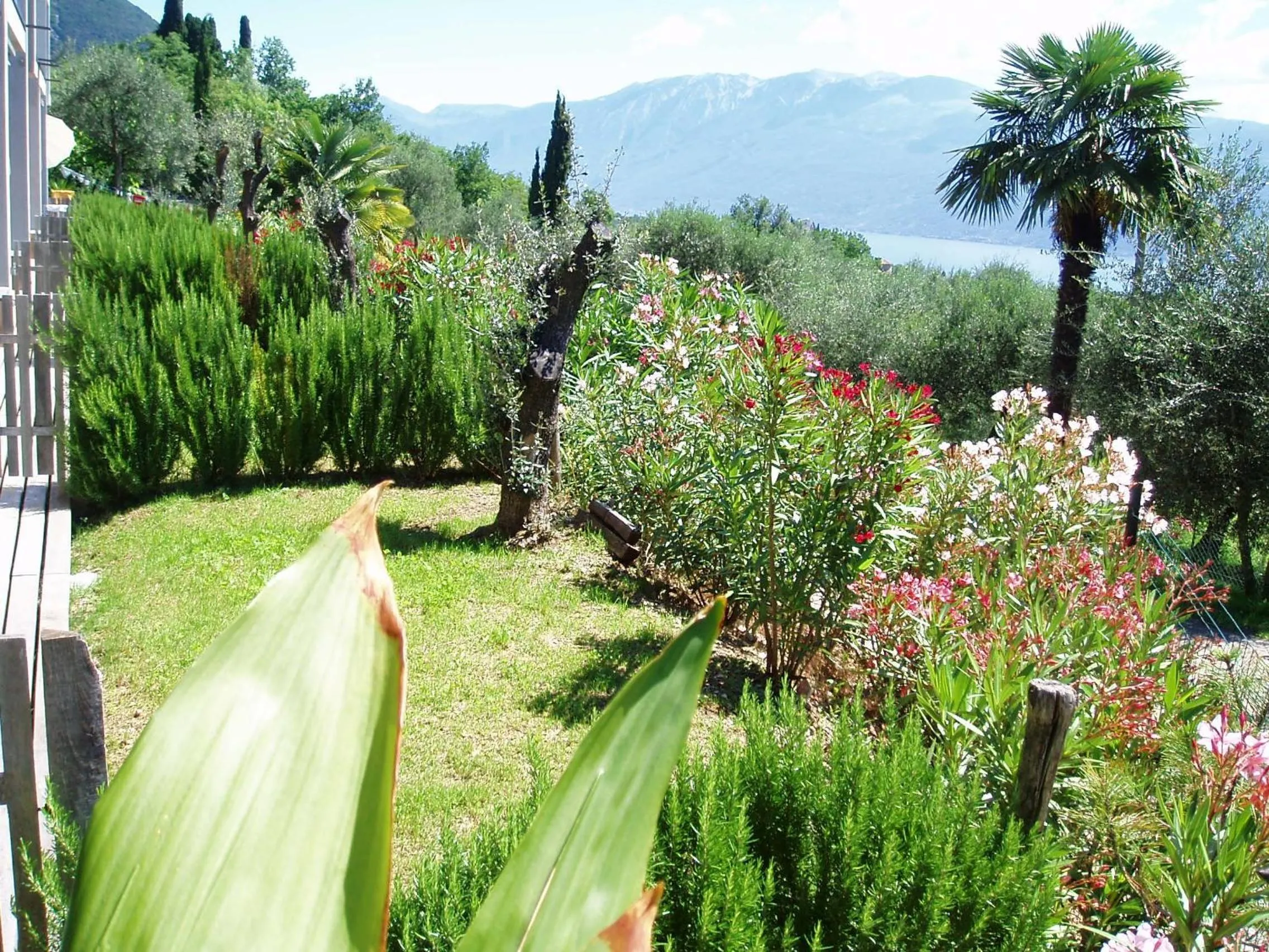 Garden in Caselli Vigole al Sole