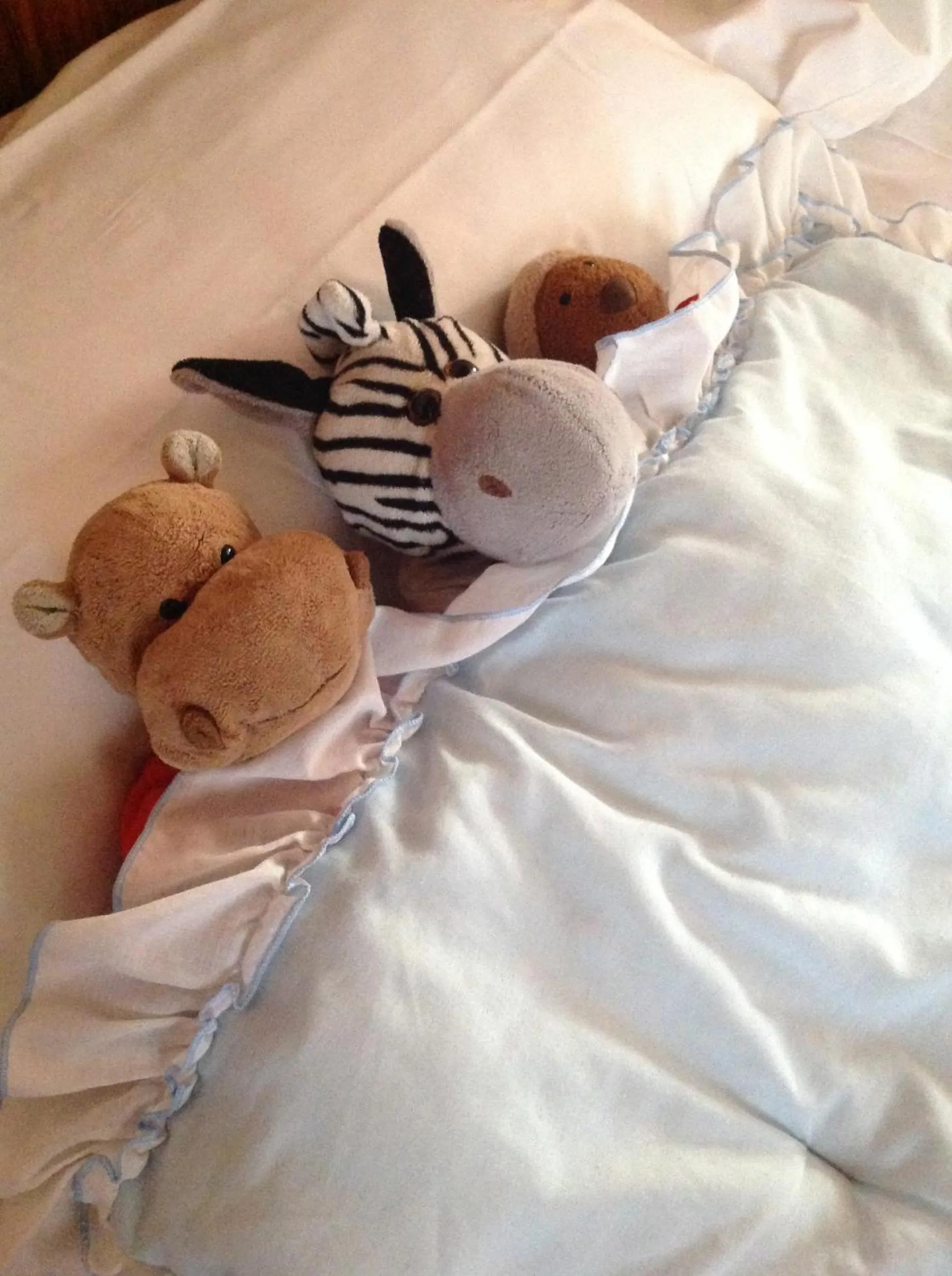 Guests, Bed in Albergo Anna