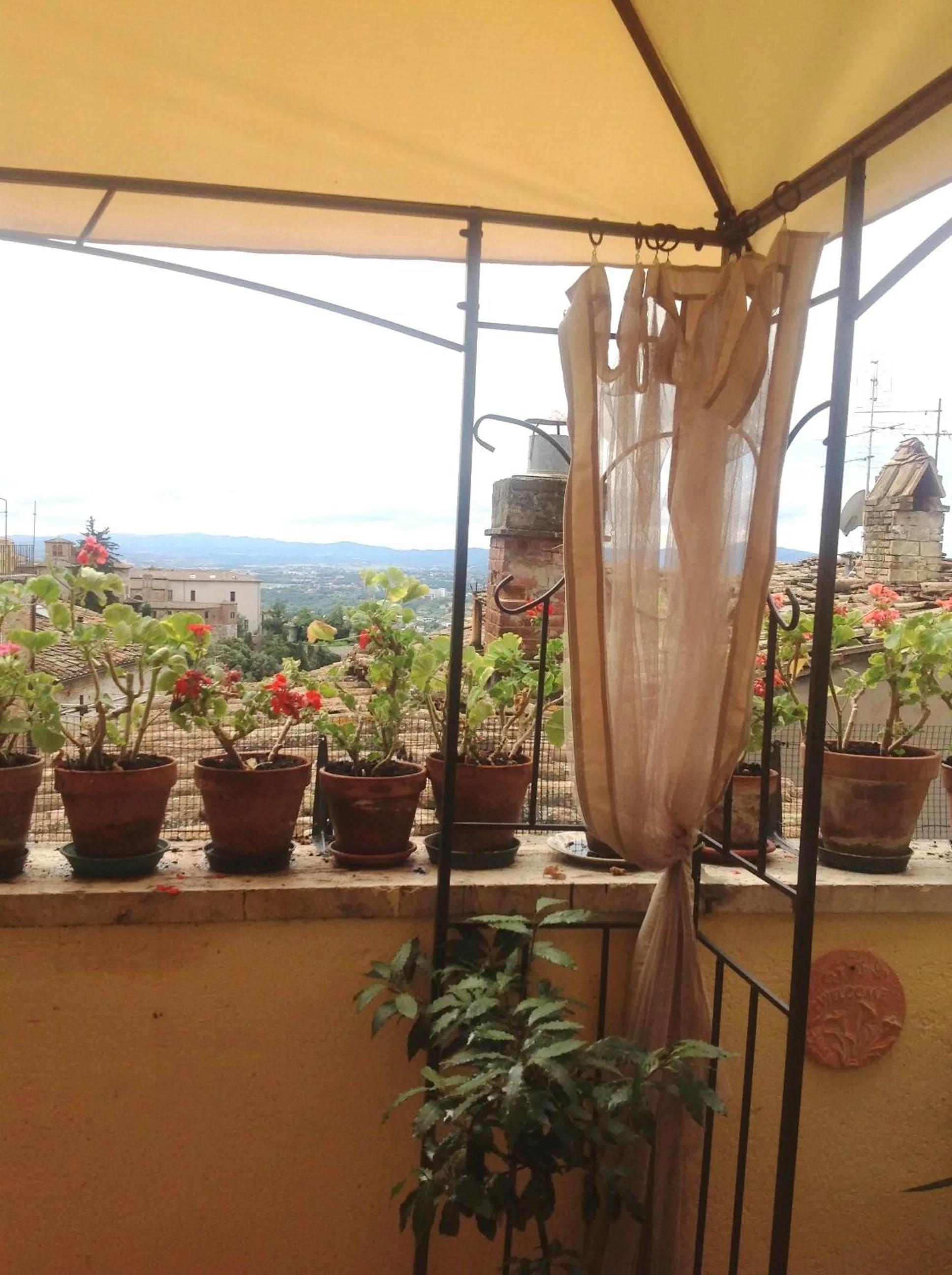 Balcony/Terrace in Albergo Anna