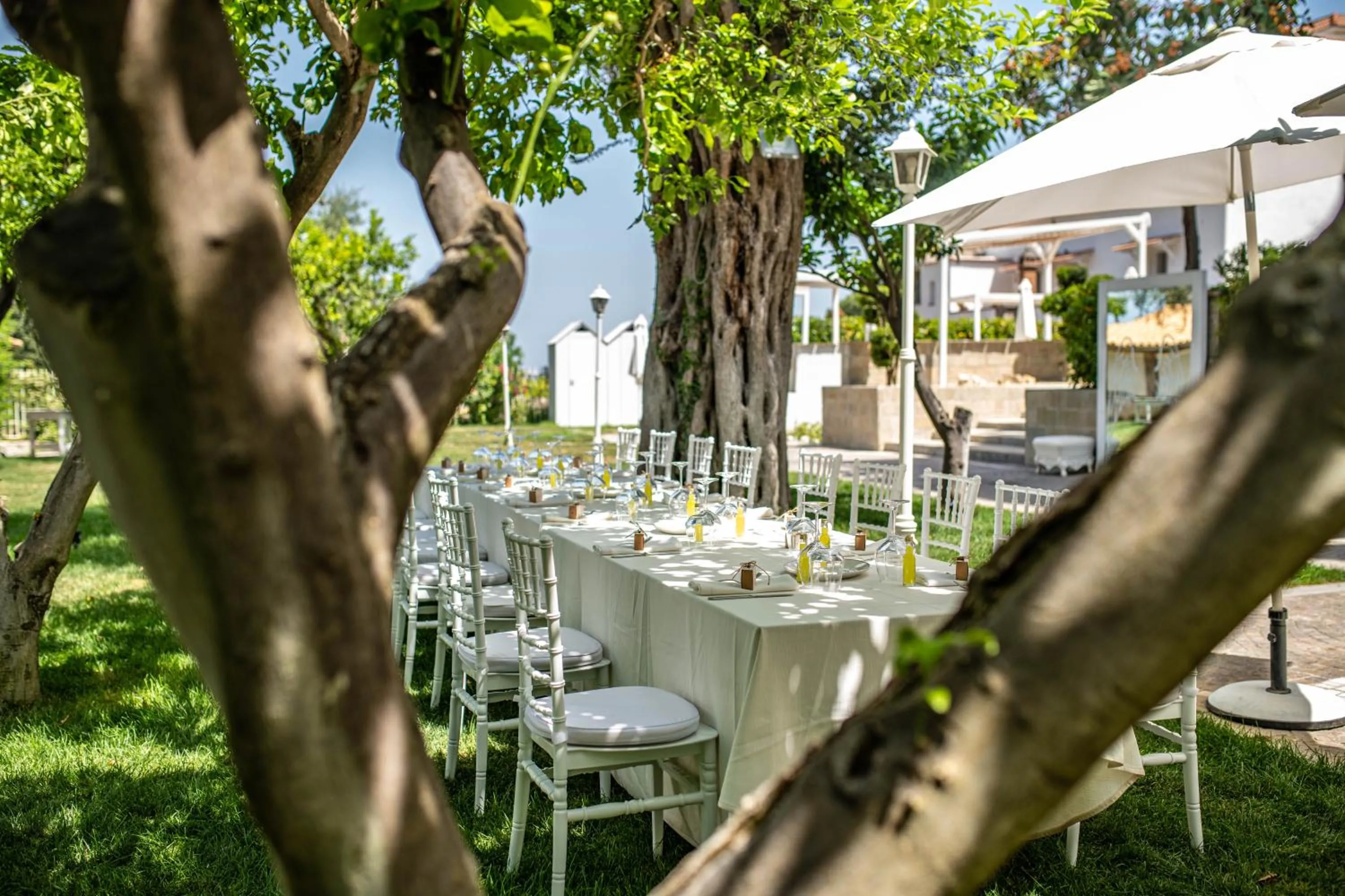 Restaurant/places to eat in Artis Domus Relais & Spa