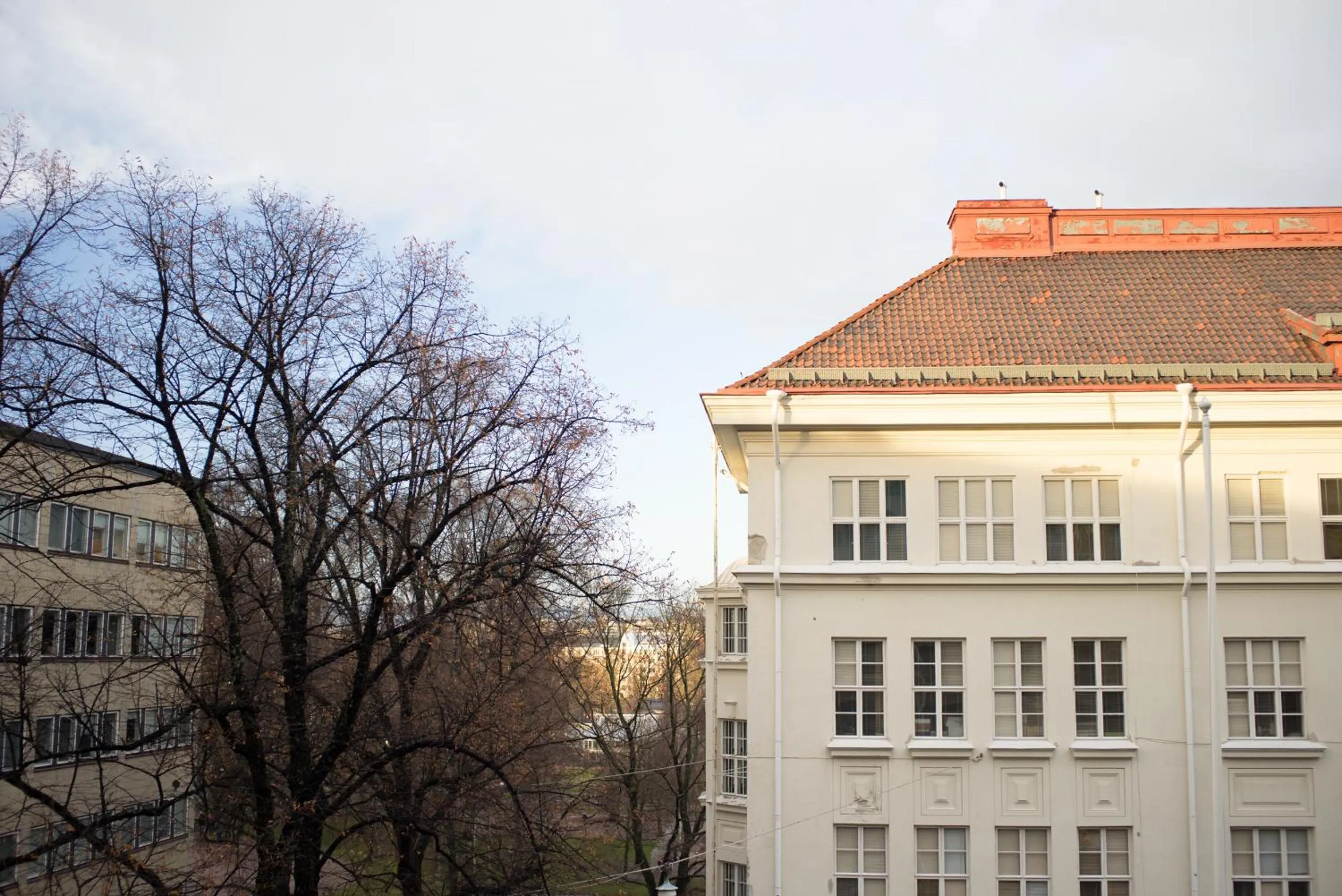 Garden view in Hotel Arthur