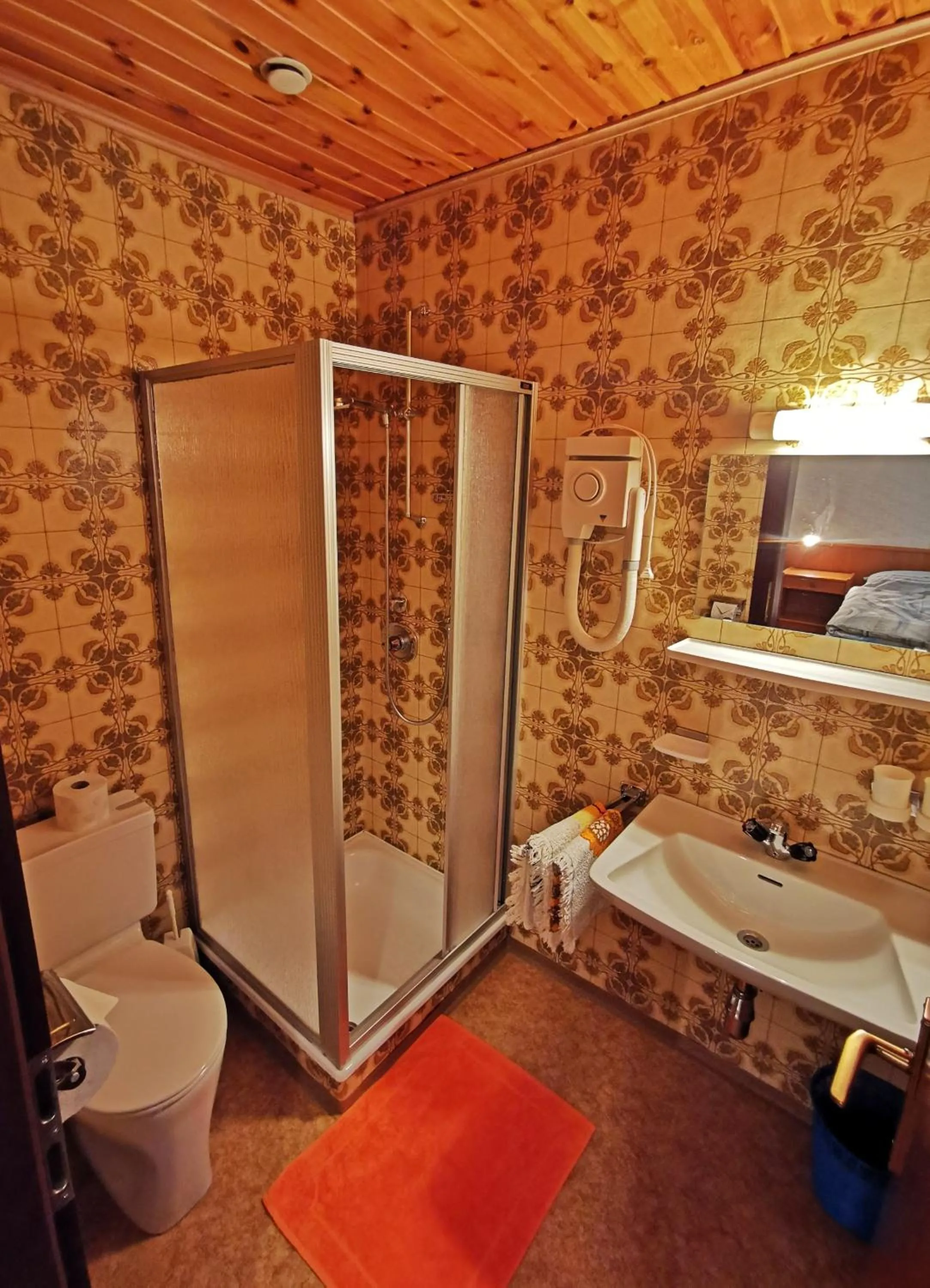 Bathroom in Ferienwohnung Gertrud Dallavia