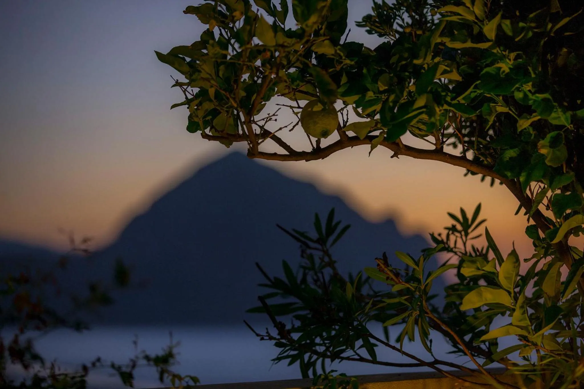 Garden view in Hotel Pocho