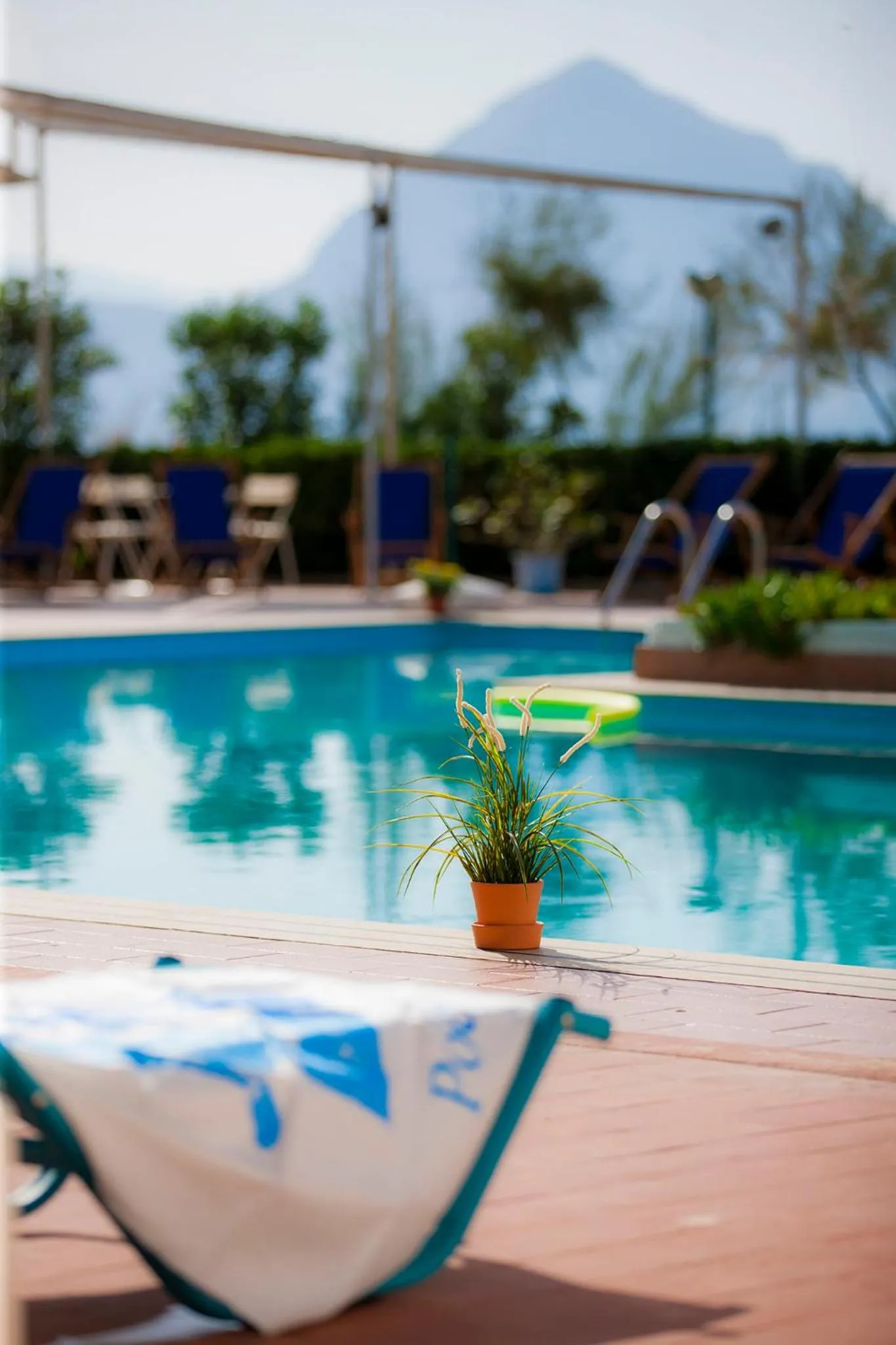 Swimming pool in Hotel Pocho