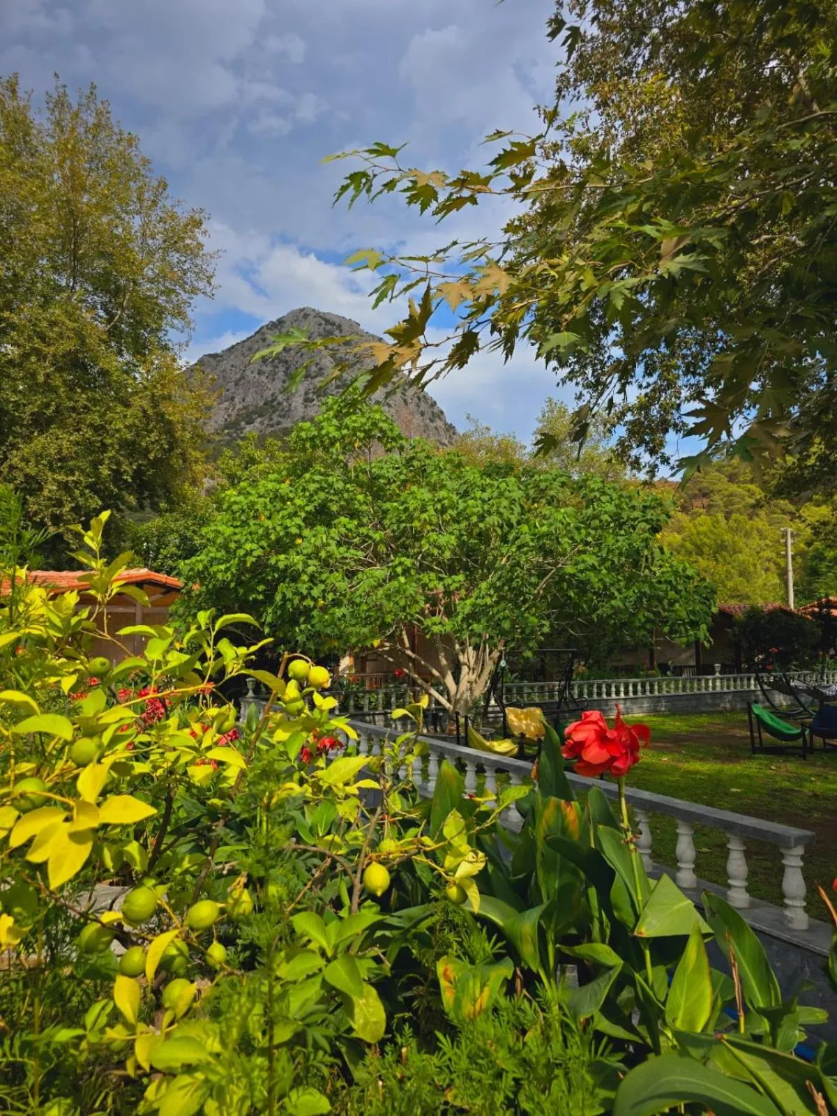Garden view in Likya Adrasan