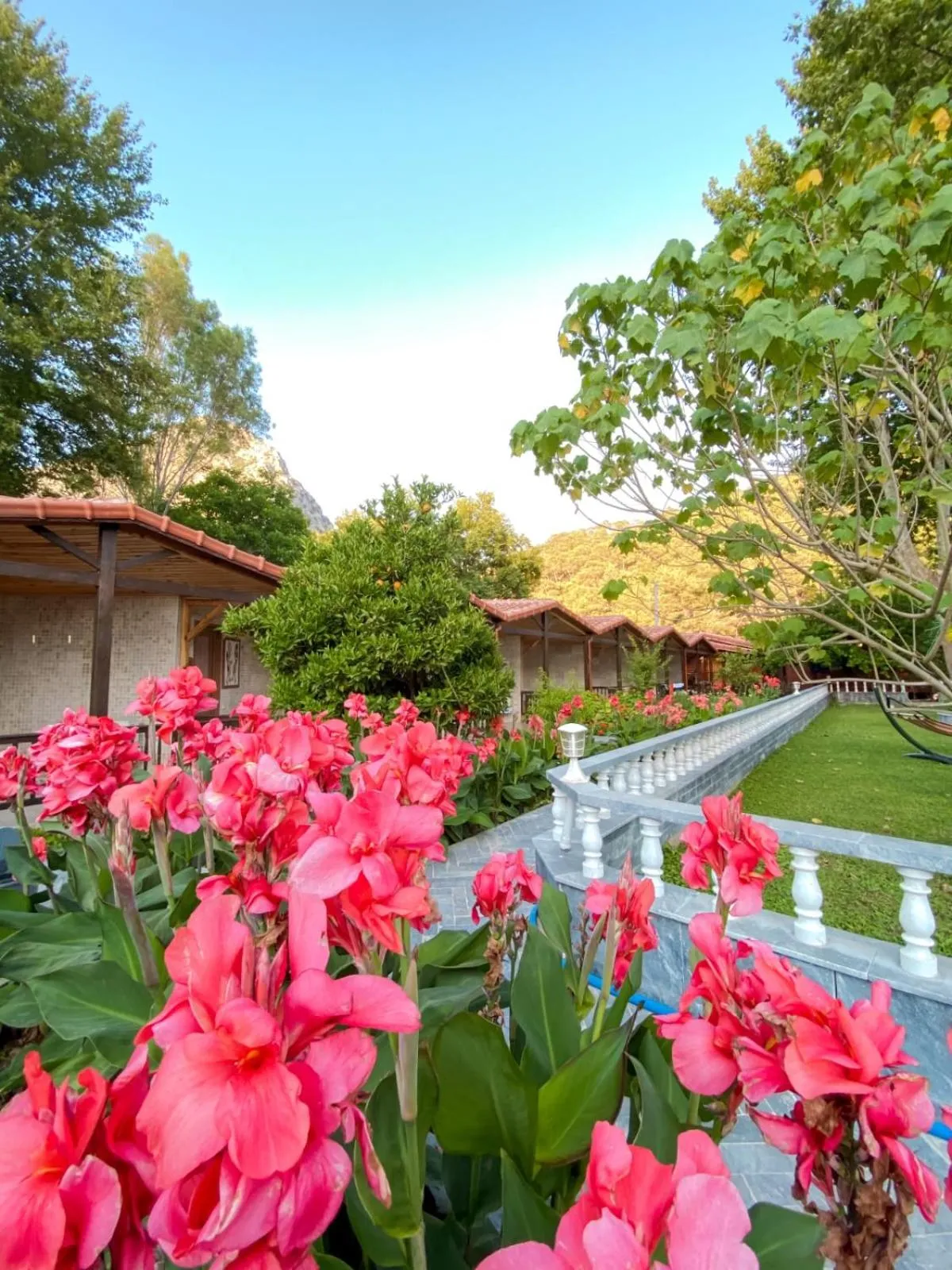 Garden view in Likya Adrasan