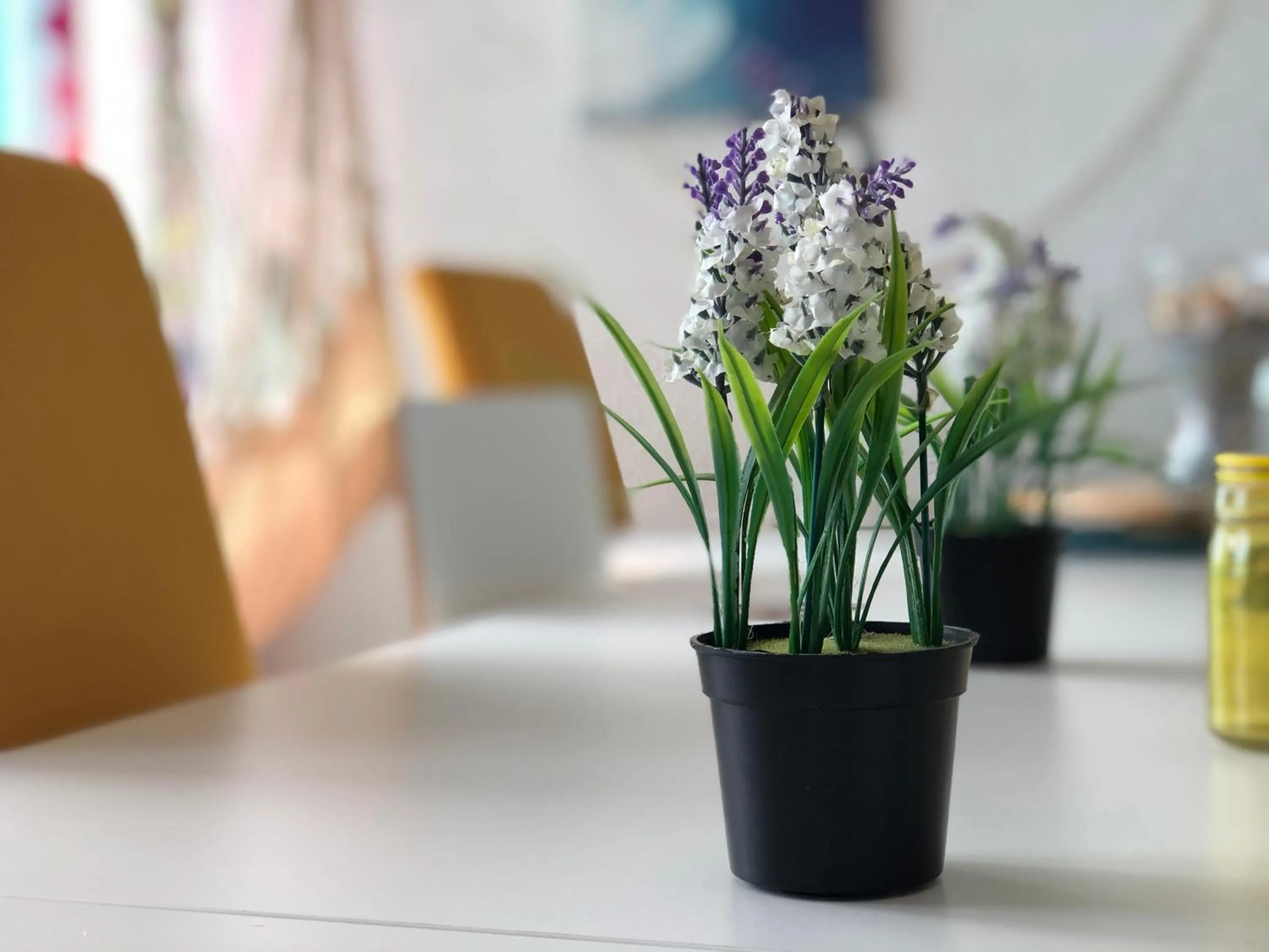 Fonte da Telha Beach Hostel