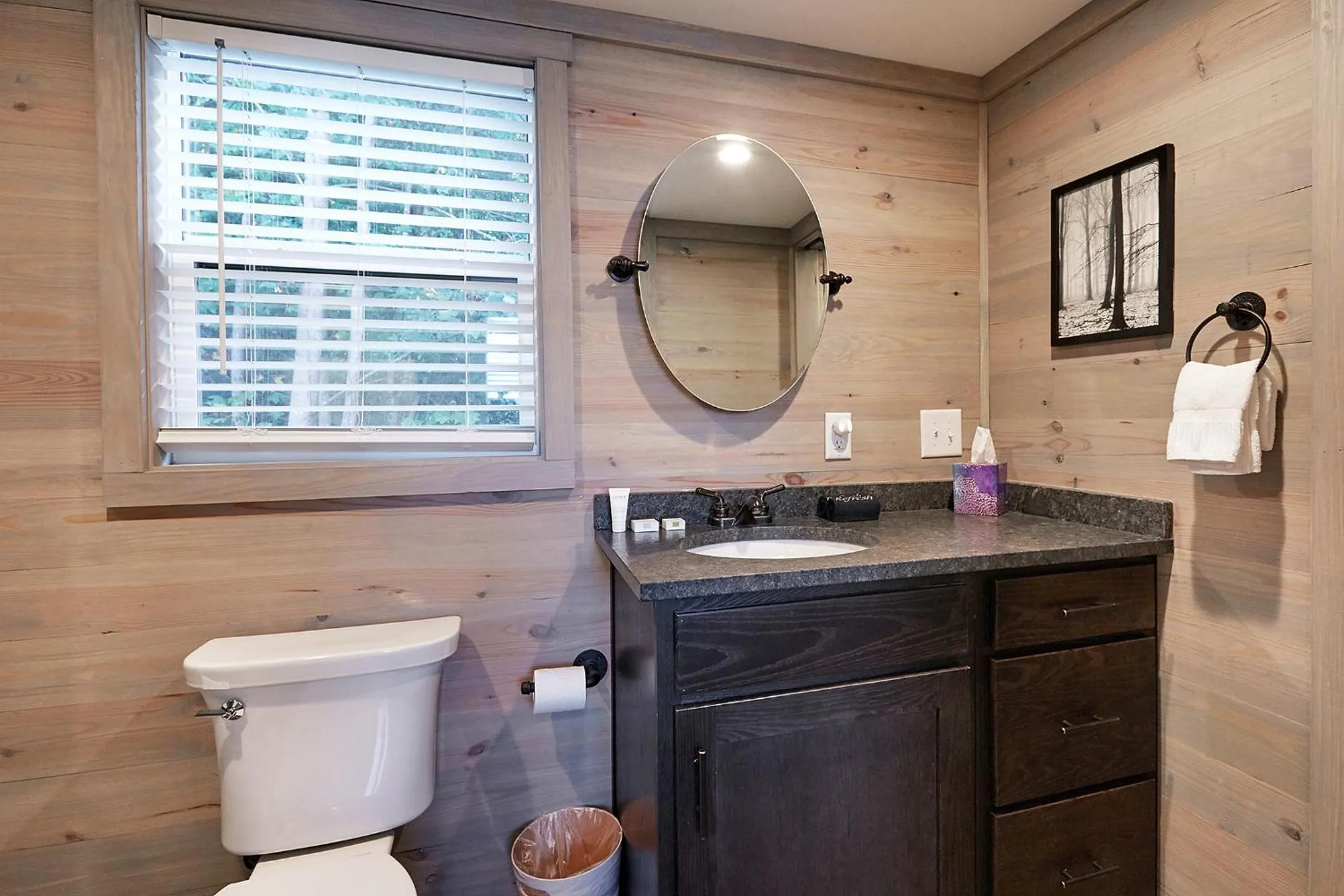 Bathroom in Asheville River Cabins