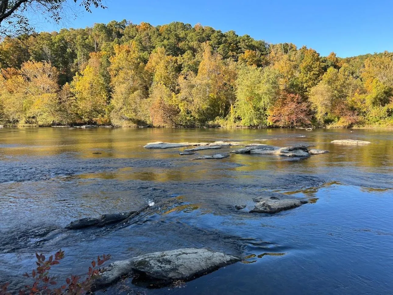Asheville River Cabins