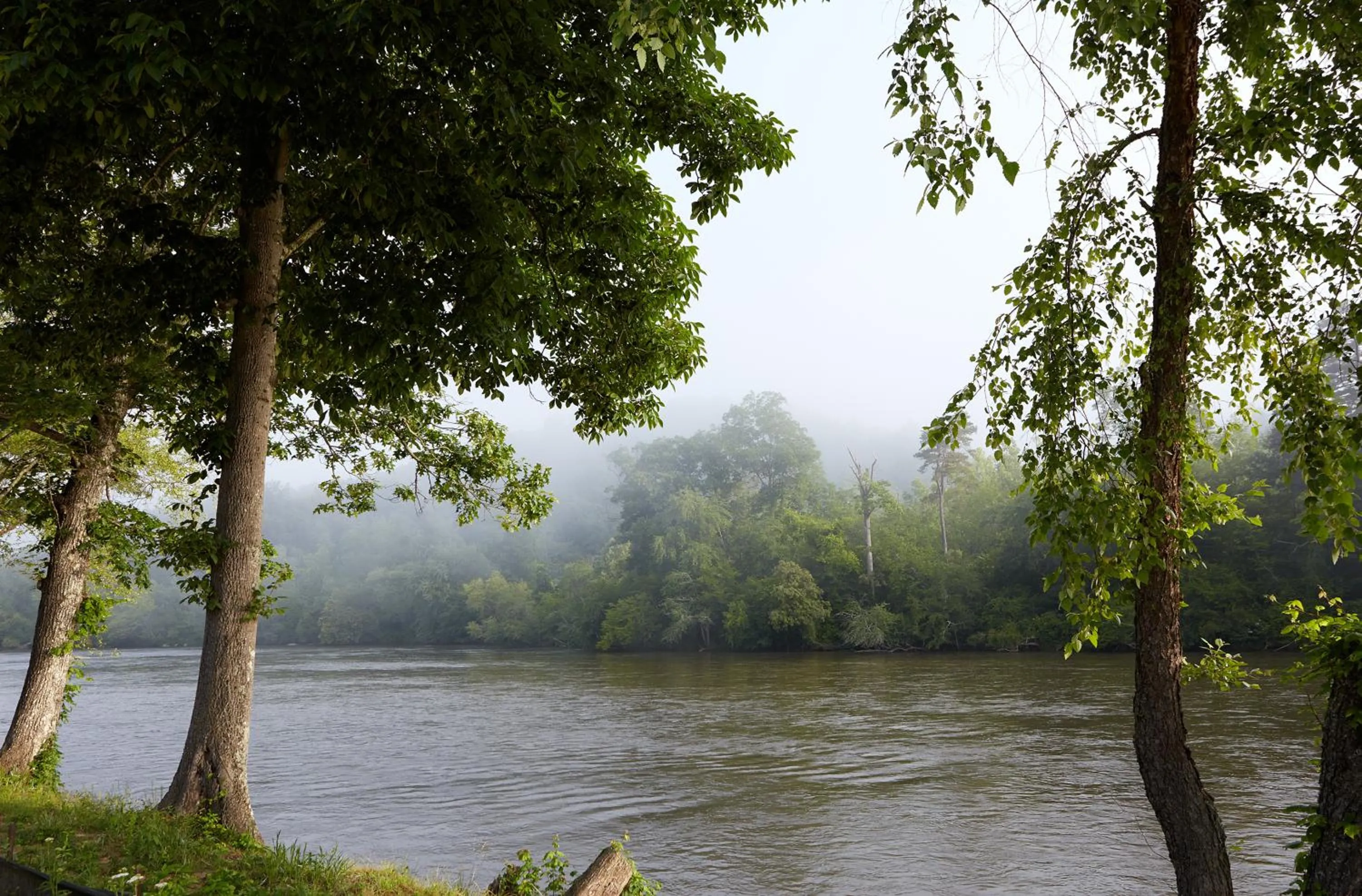 Natural landscape in Asheville River Cabins