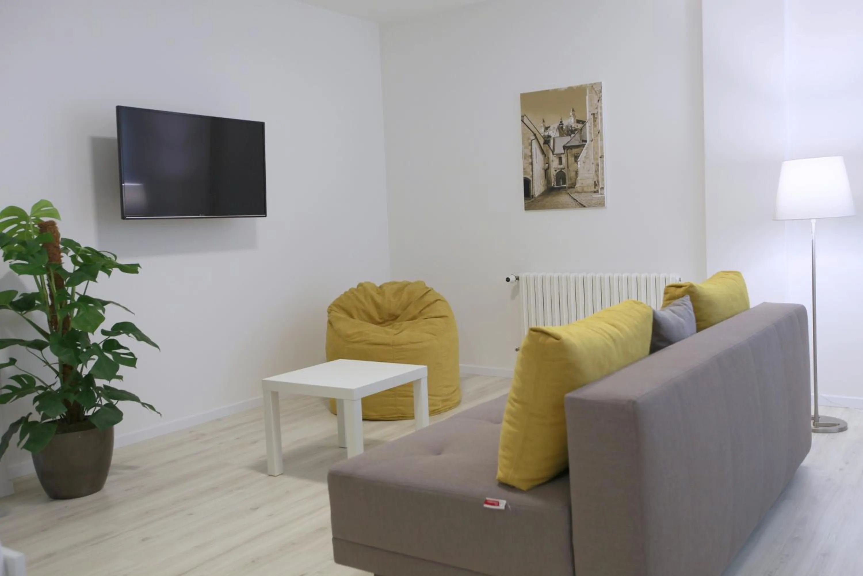 TV and multimedia in City Center Best Place Apartments
