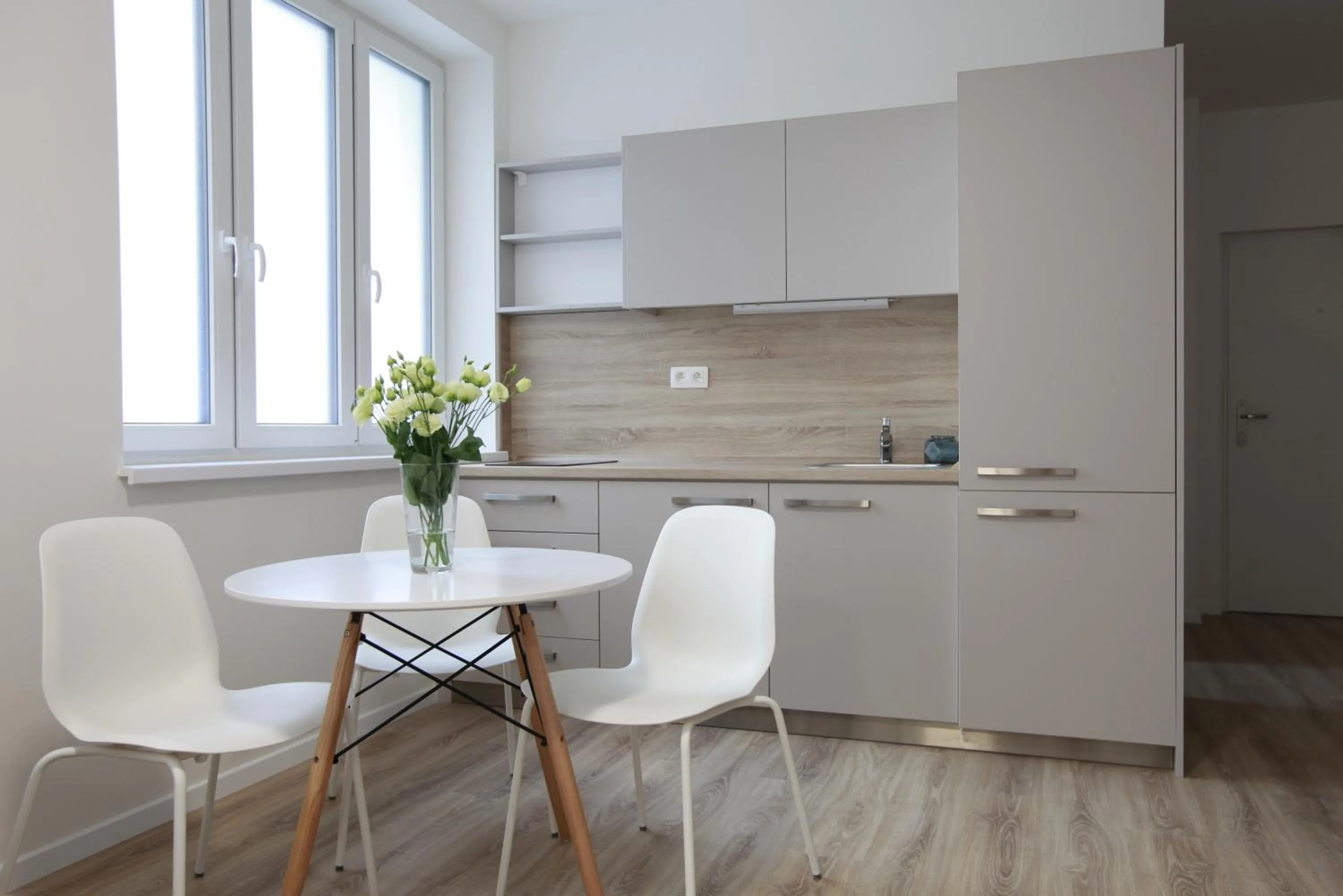 Kitchen or kitchenette in City Center Best Place Apartments