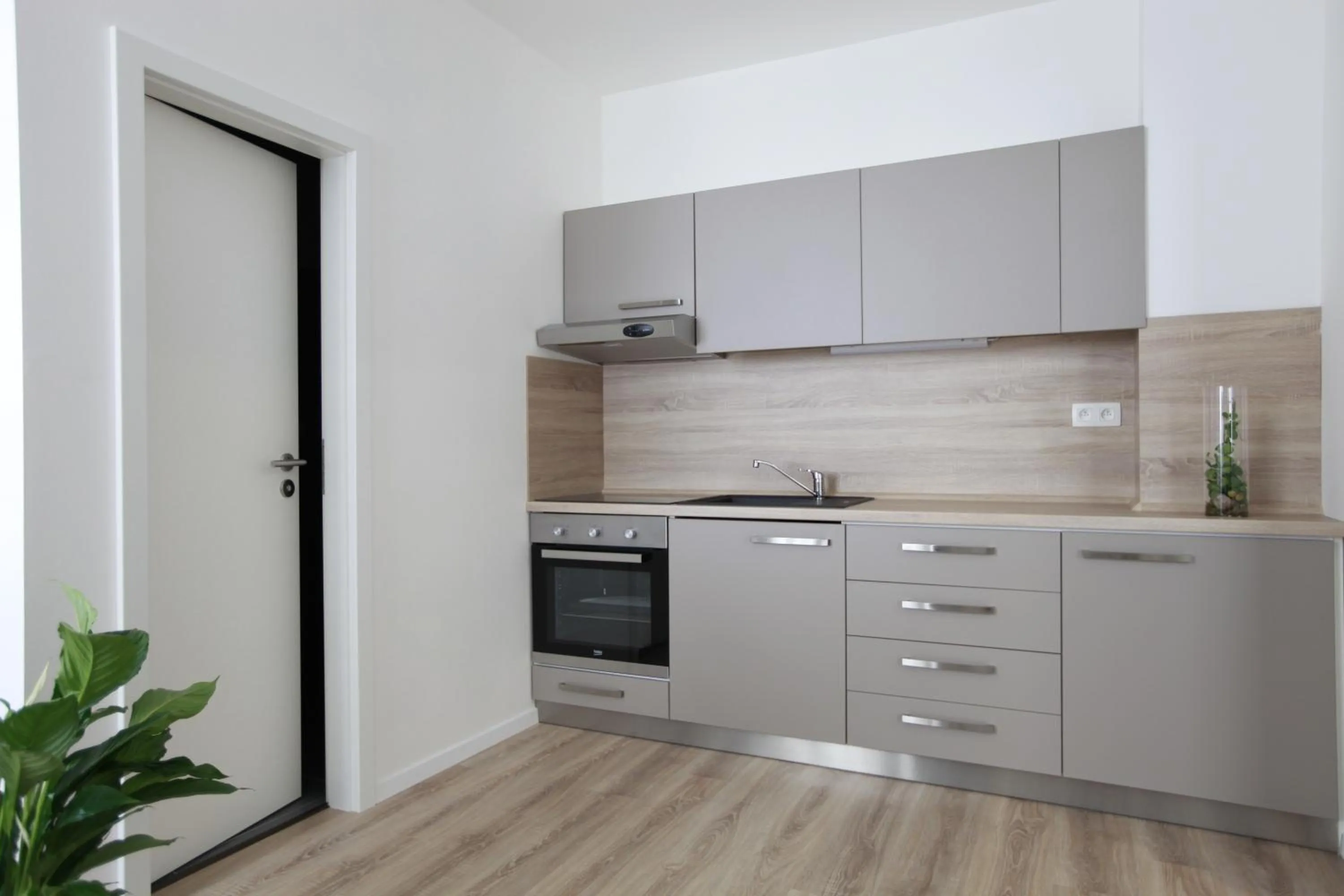 Kitchen or kitchenette in City Center Best Place Apartments