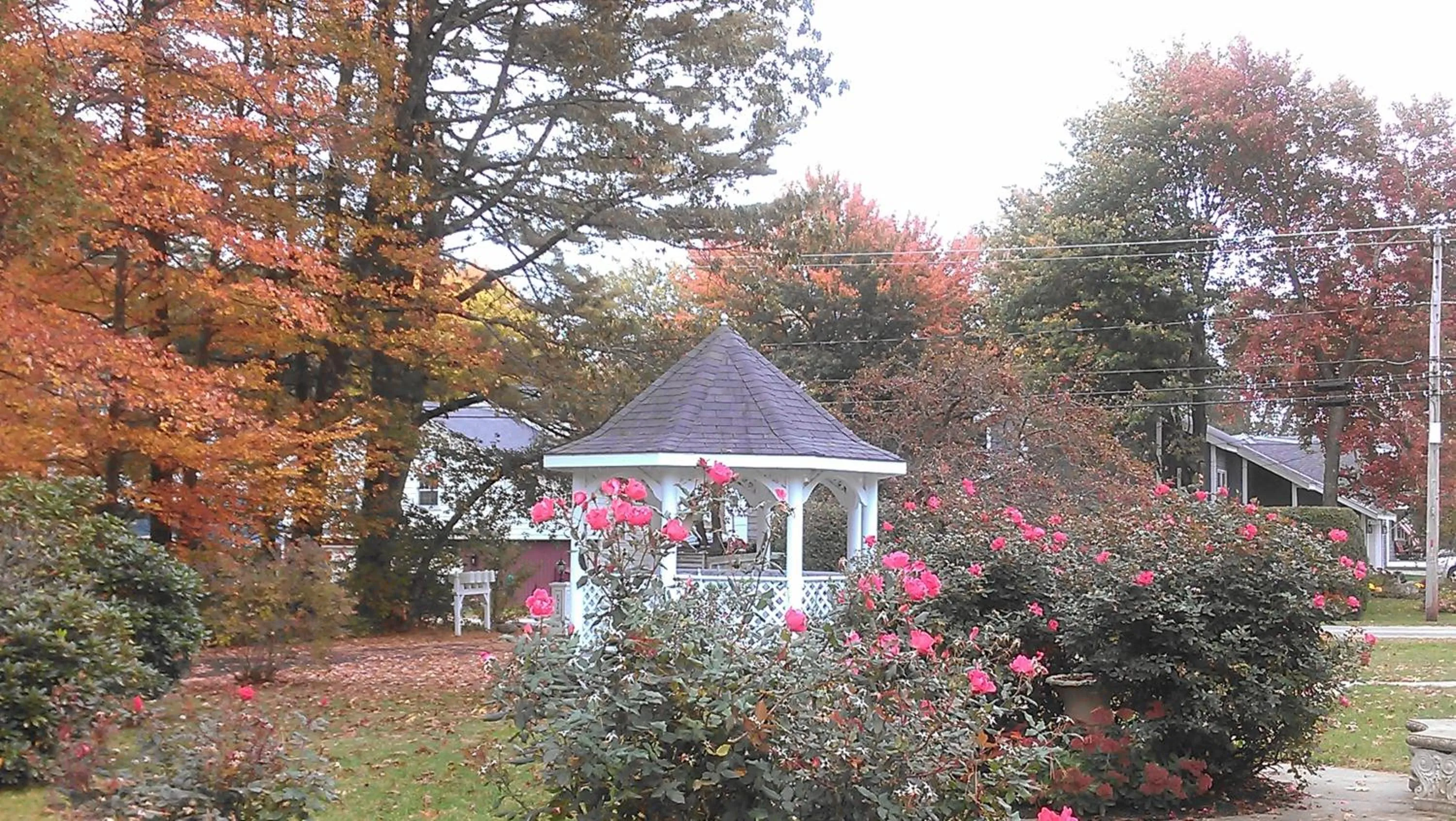 Garden in Victoria Inn