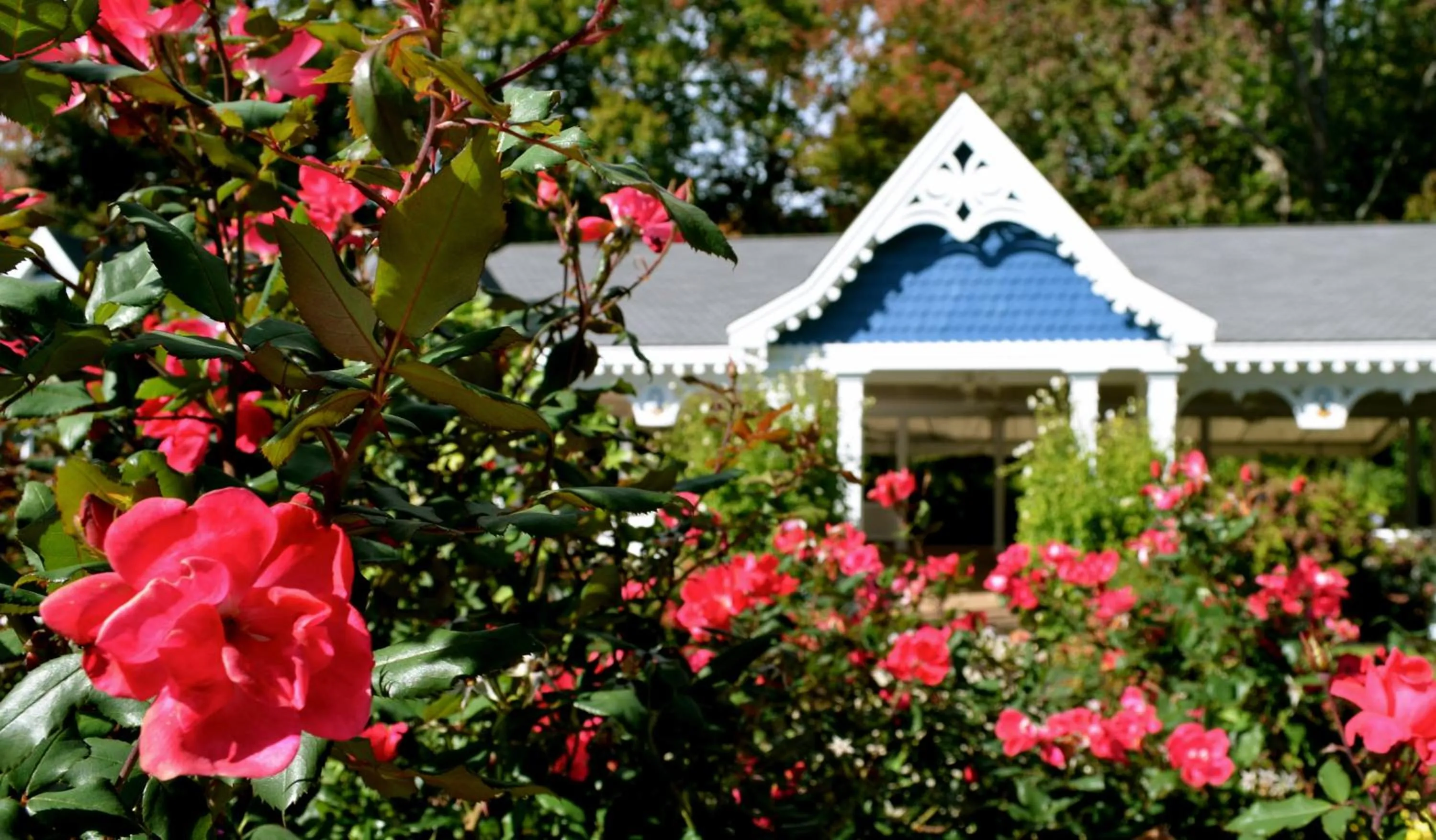 Area and facilities in Victoria Inn