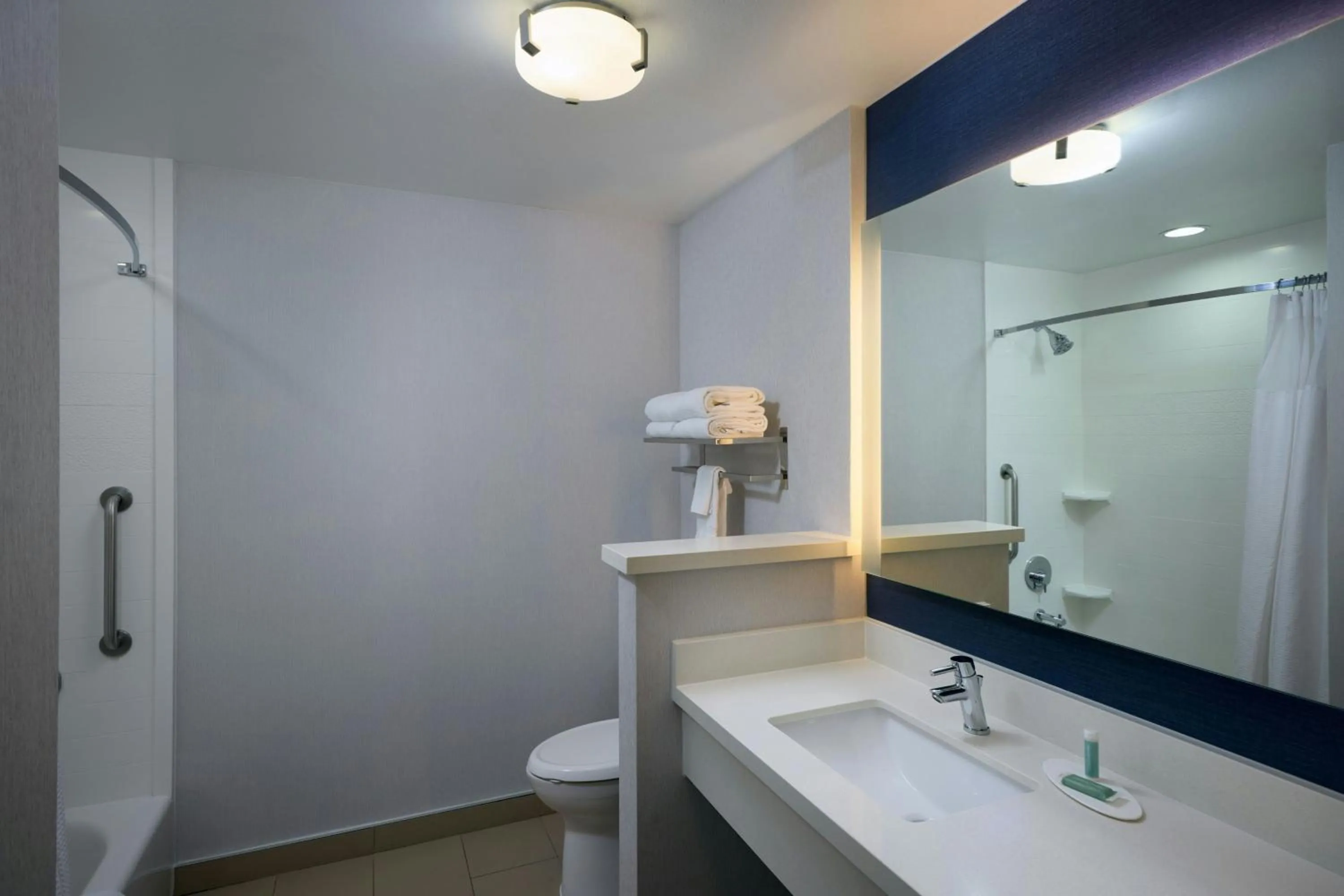 Bathroom in Fairfield Inn & Suites by Marriott Denver Downtown