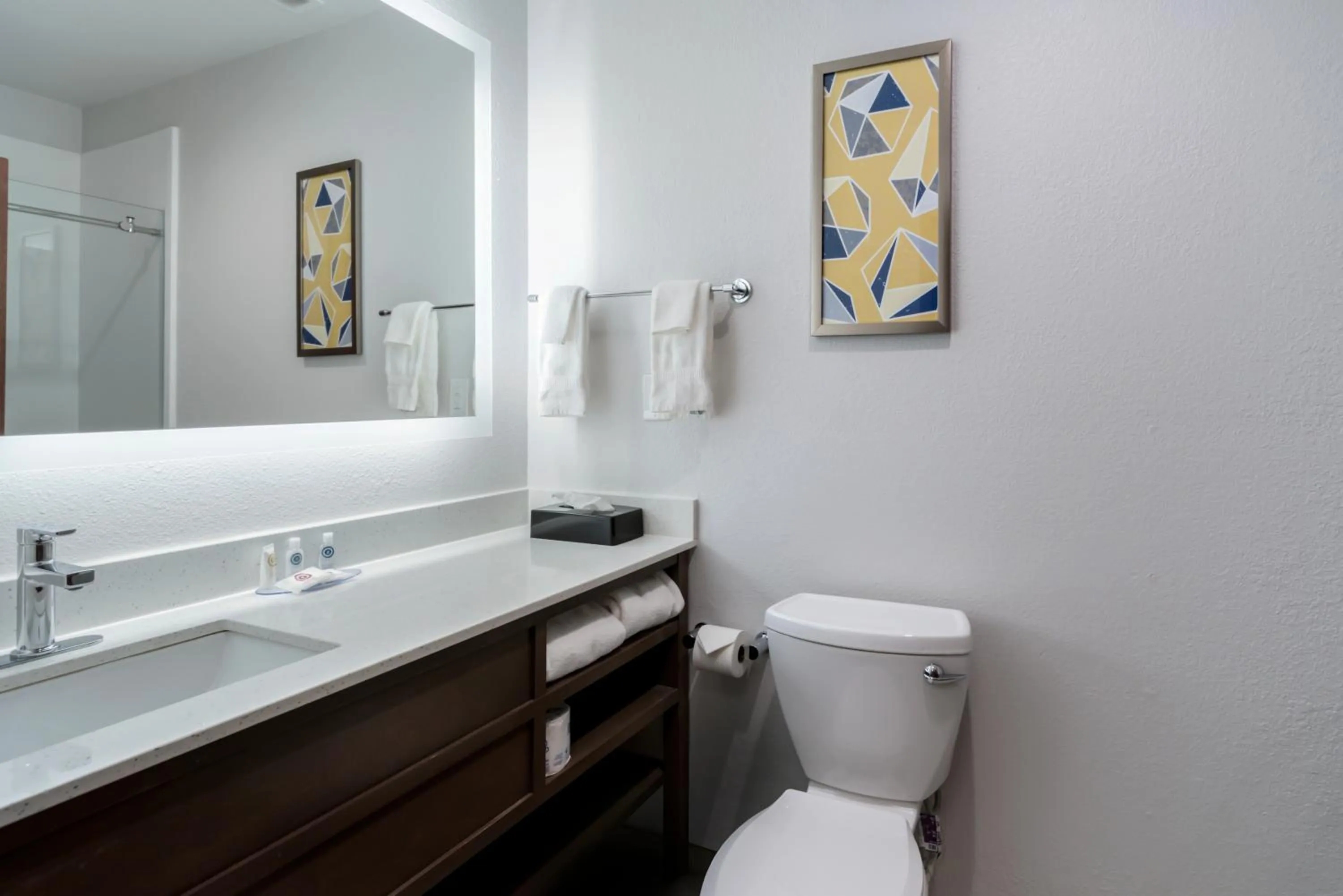 Bathroom in Comfort Inn & Suites Lexington South