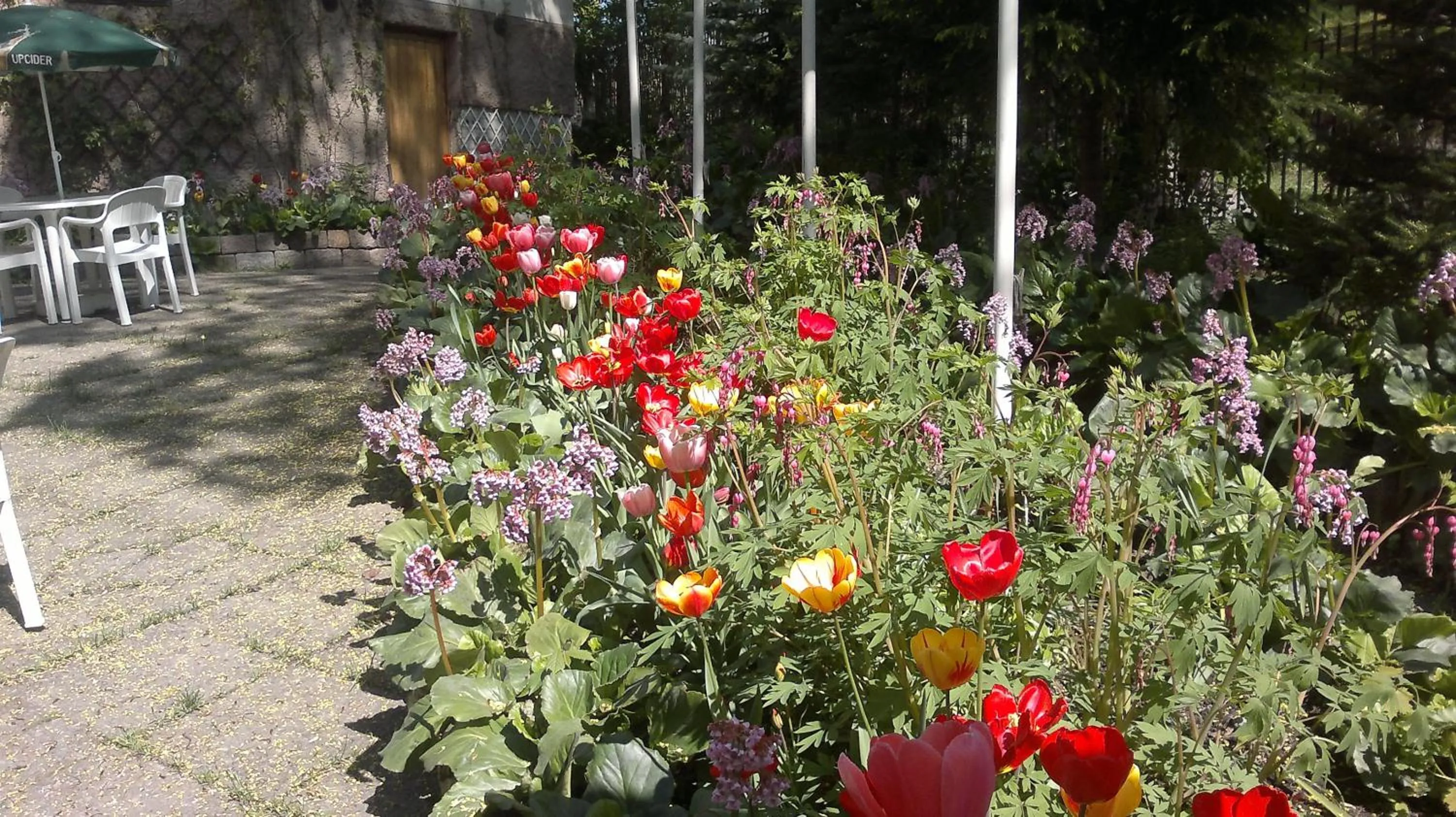 Garden in Park Hotel Turku