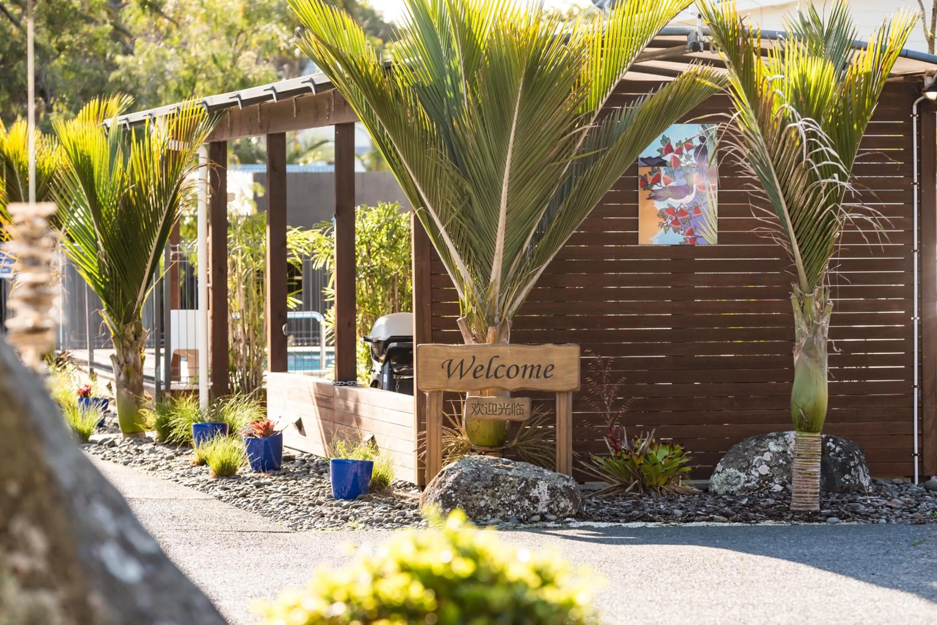 Garden in Averill Court Motel