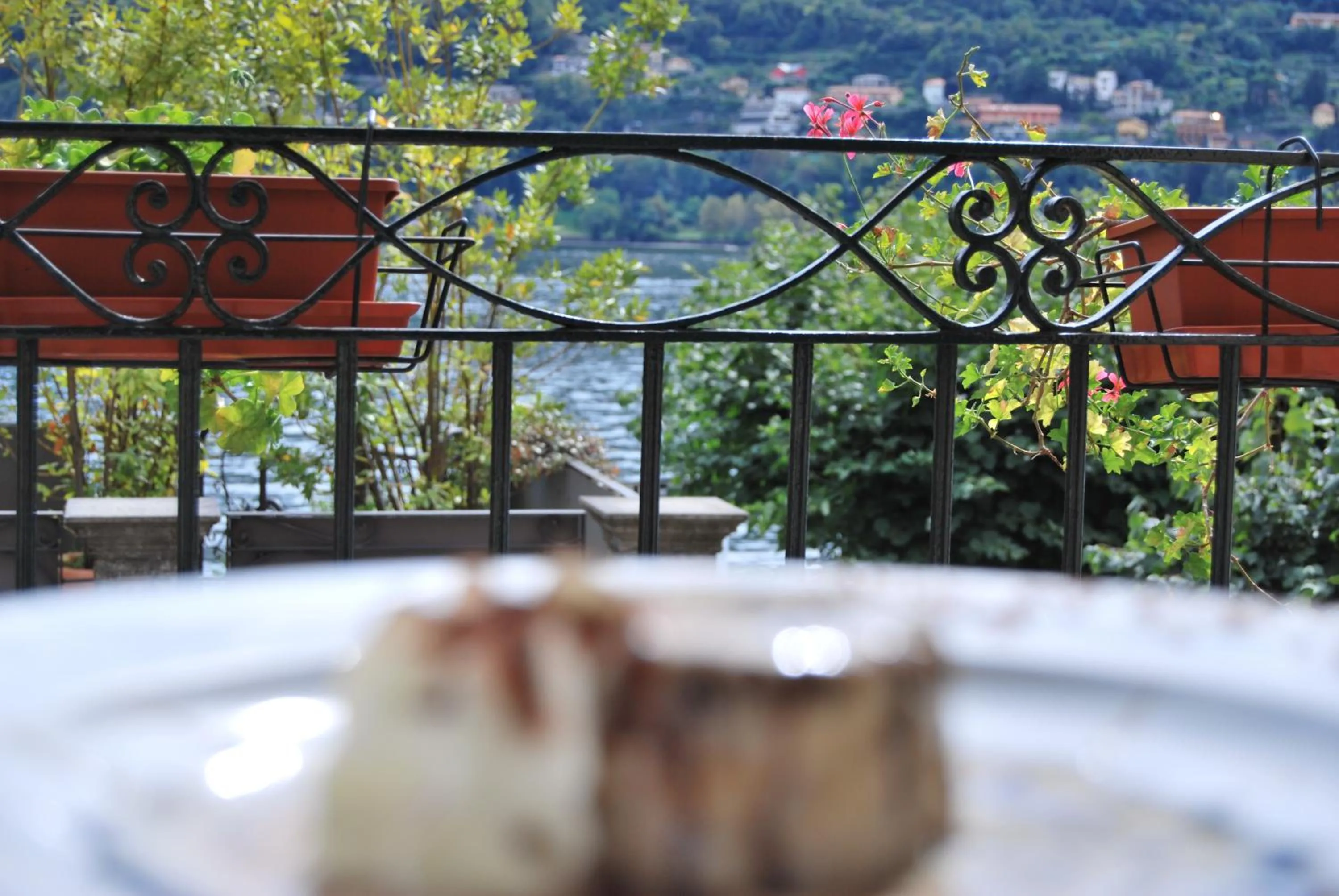 Lunch in Hotel Orso Bruno