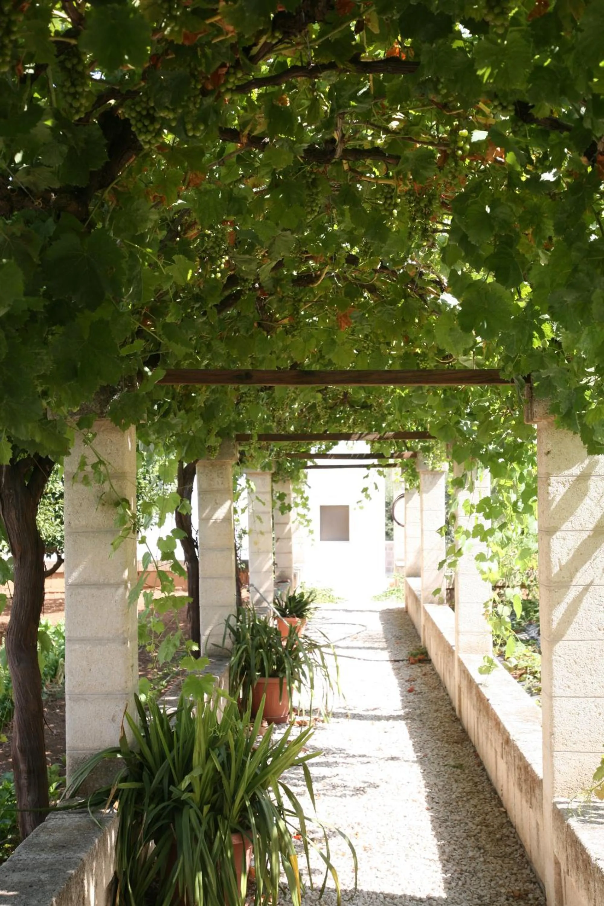 Other in Masseria San Martino