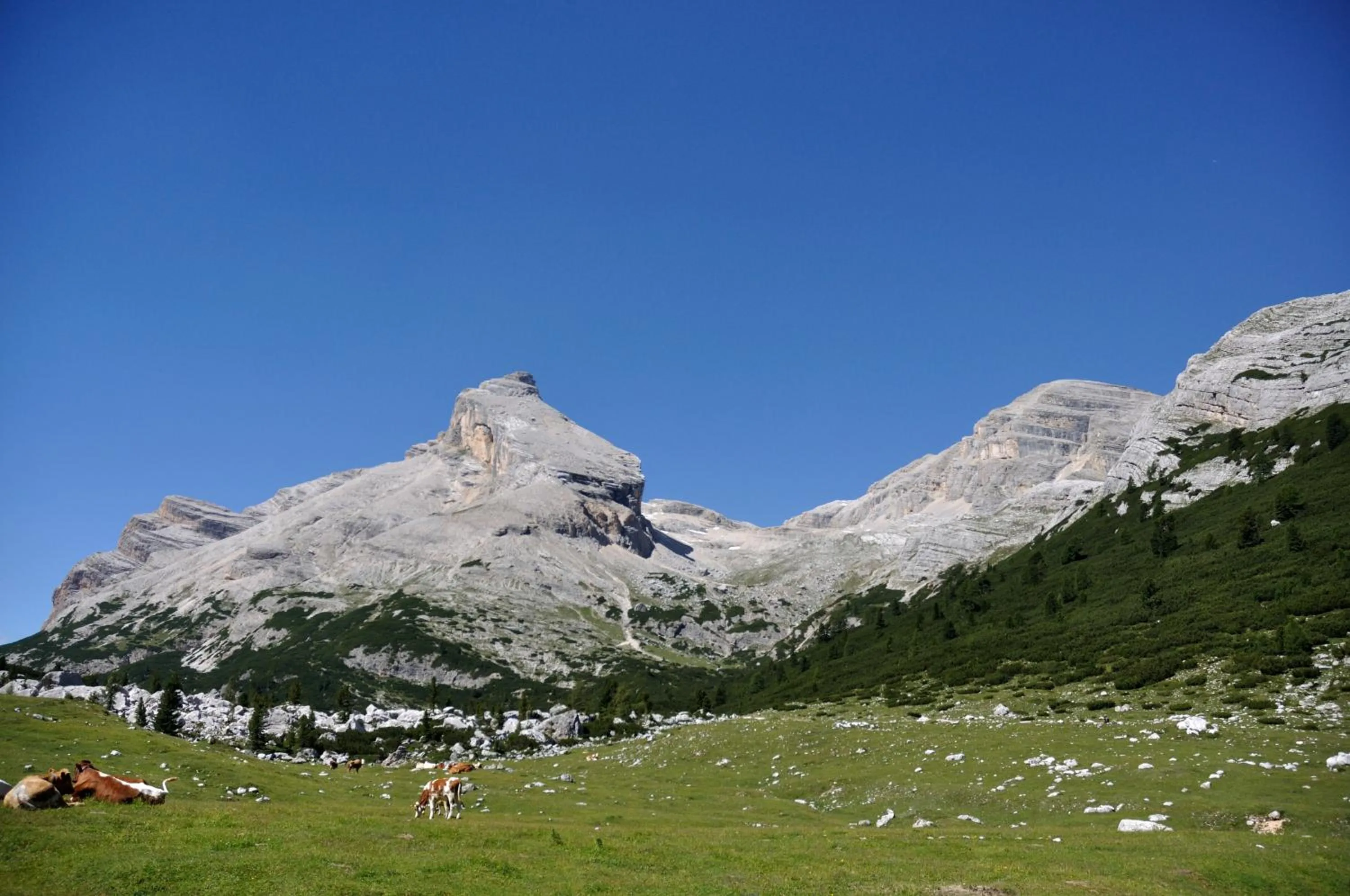 Hiking in Hotel Teresa
