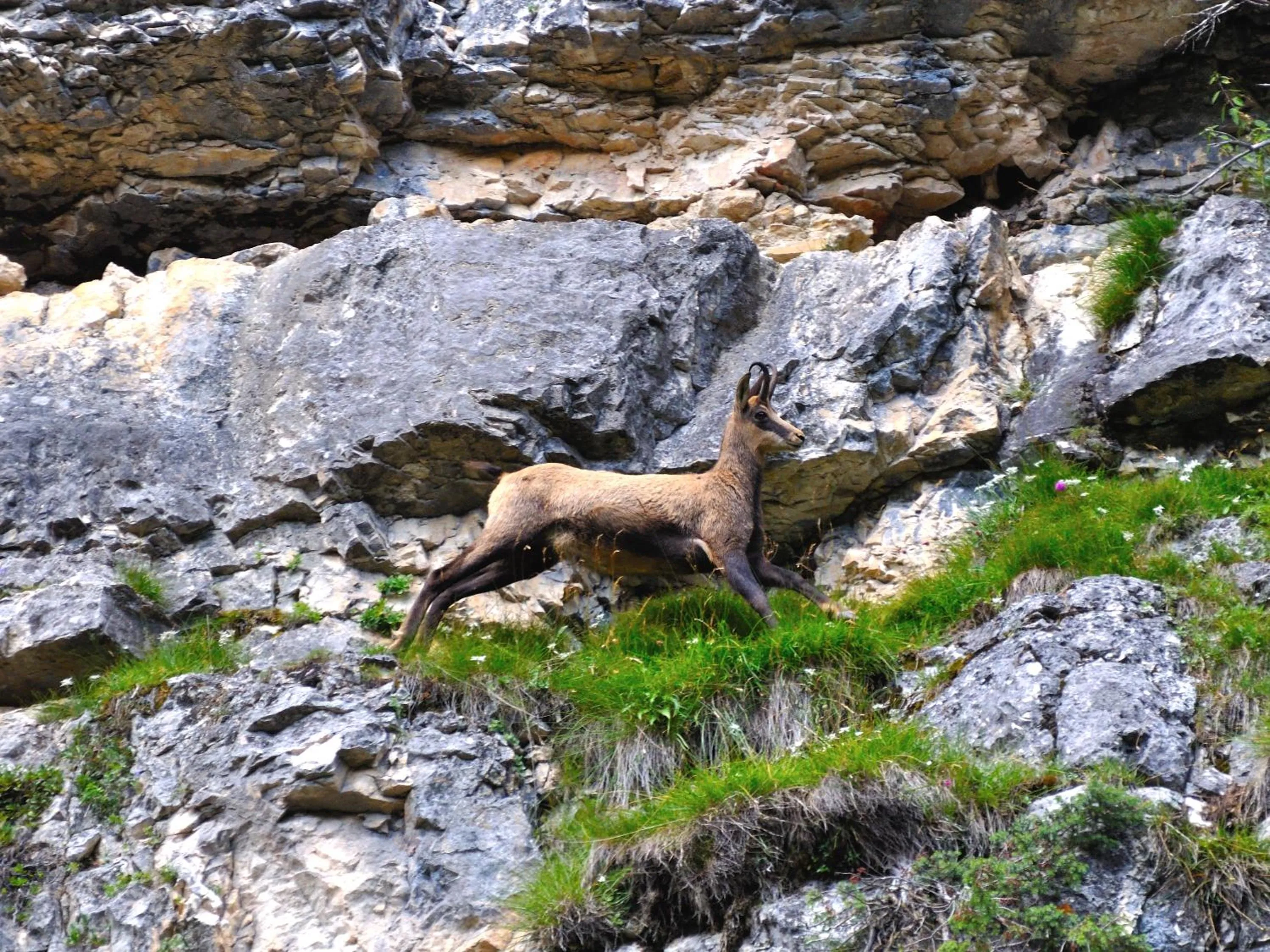 Off site in Hotel Teresa