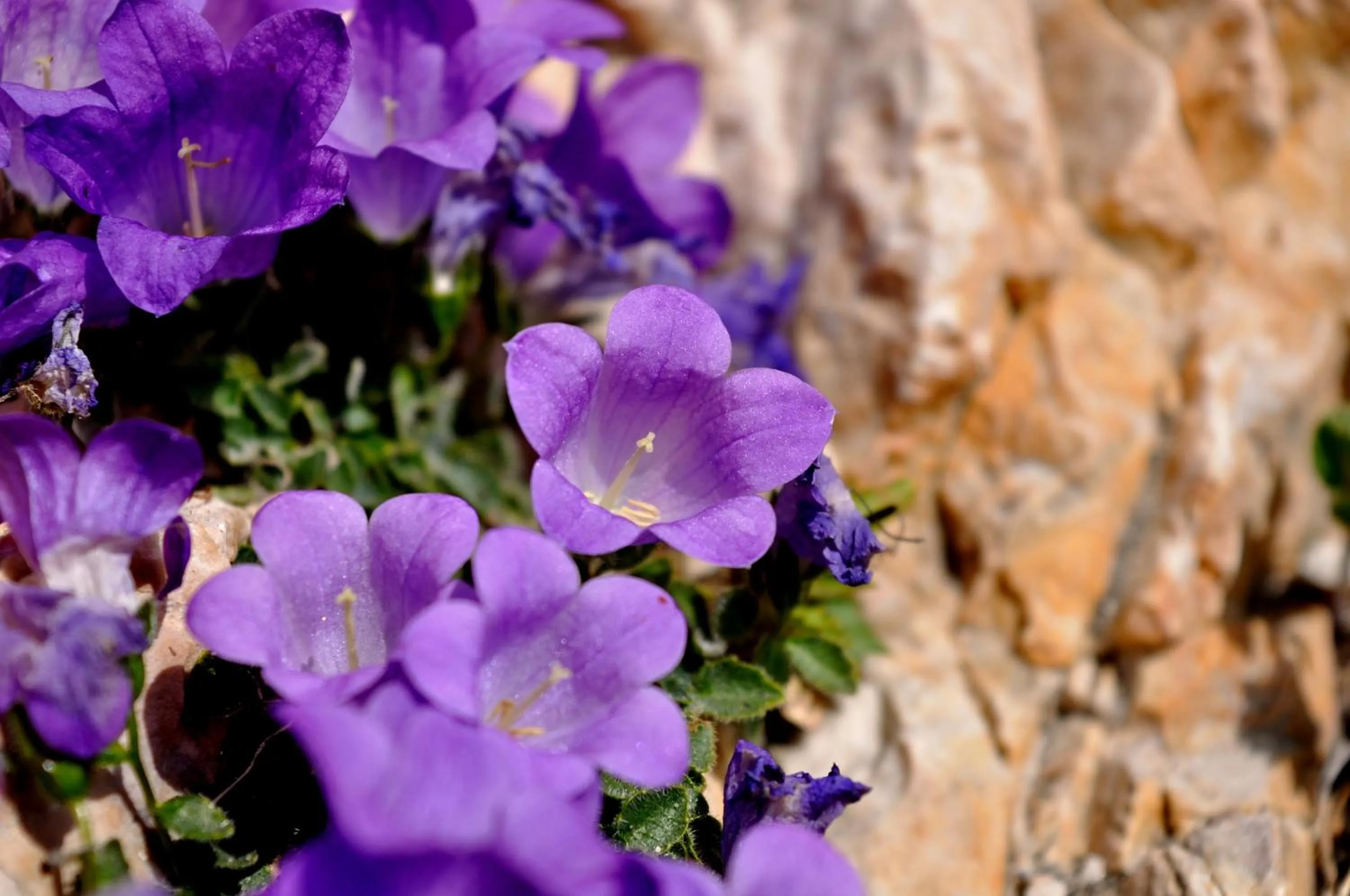 Nearby landmark in Hotel Teresa