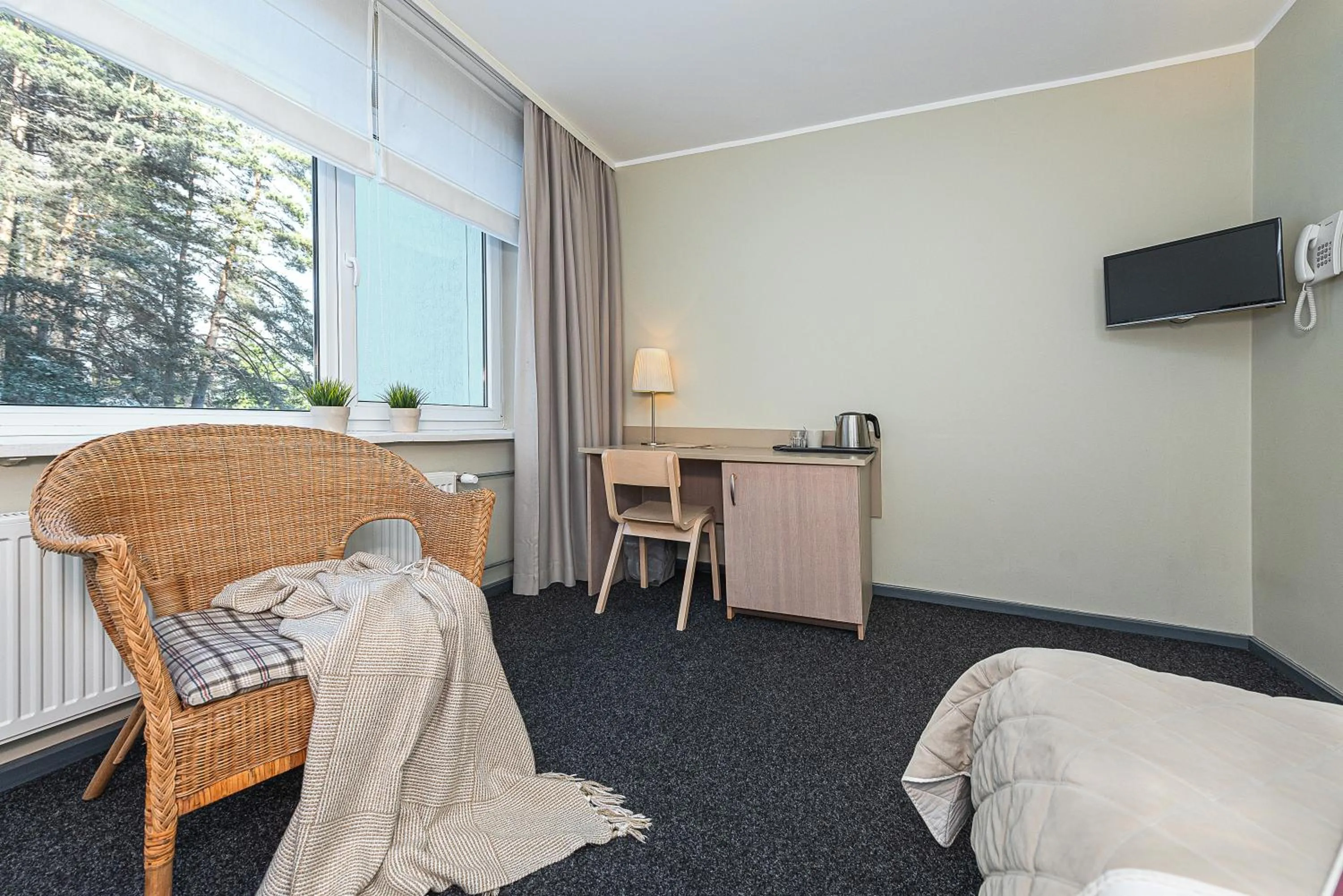 hair dresser, Bed in Nykščio Namai & SPA