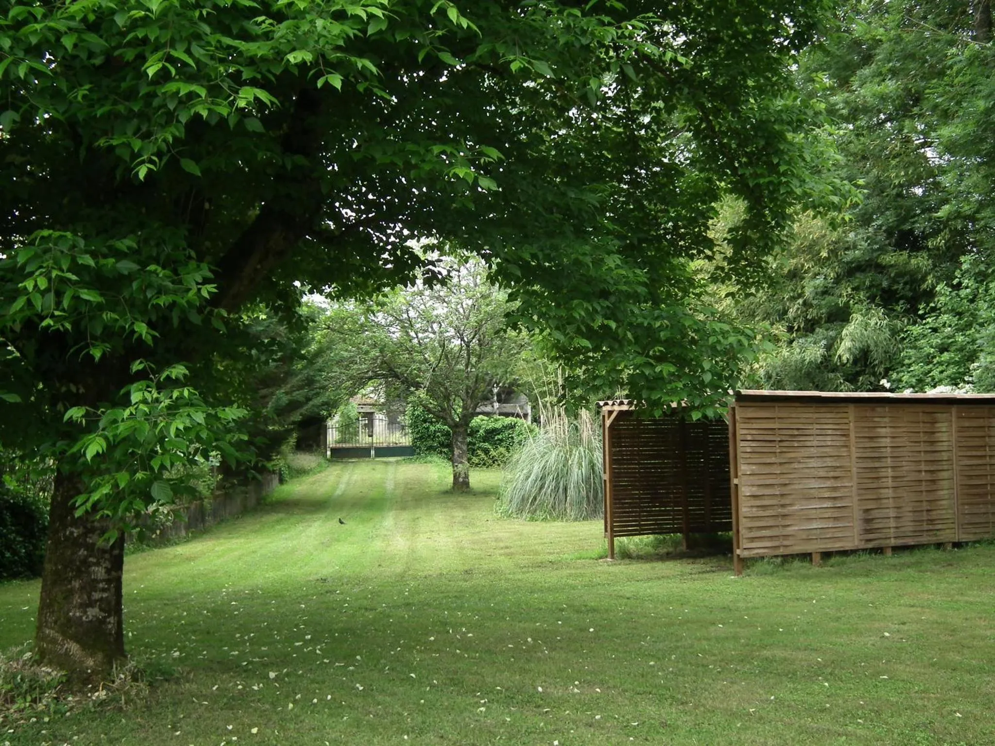 Garden in Maison de Fortitude Chambres d'hotes